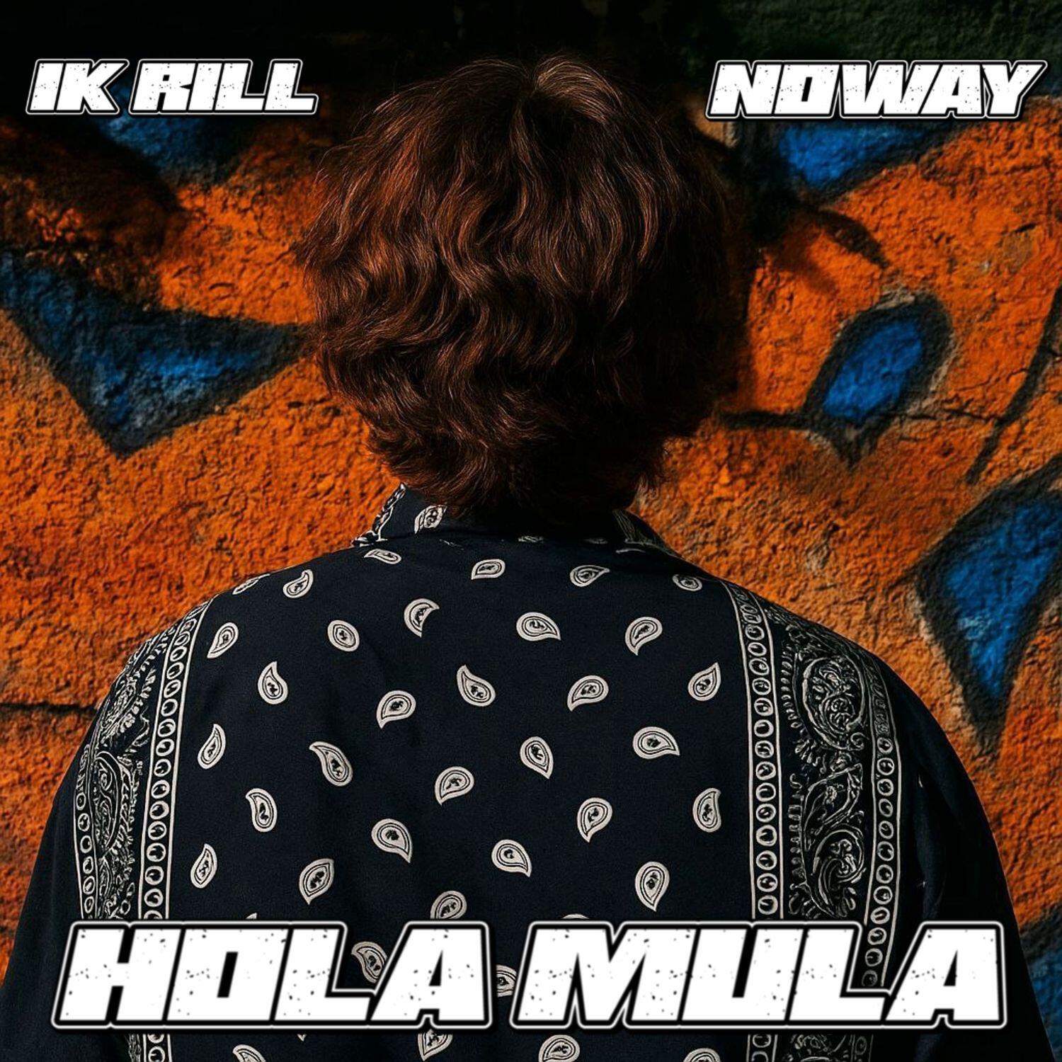 Релиз Hola mula