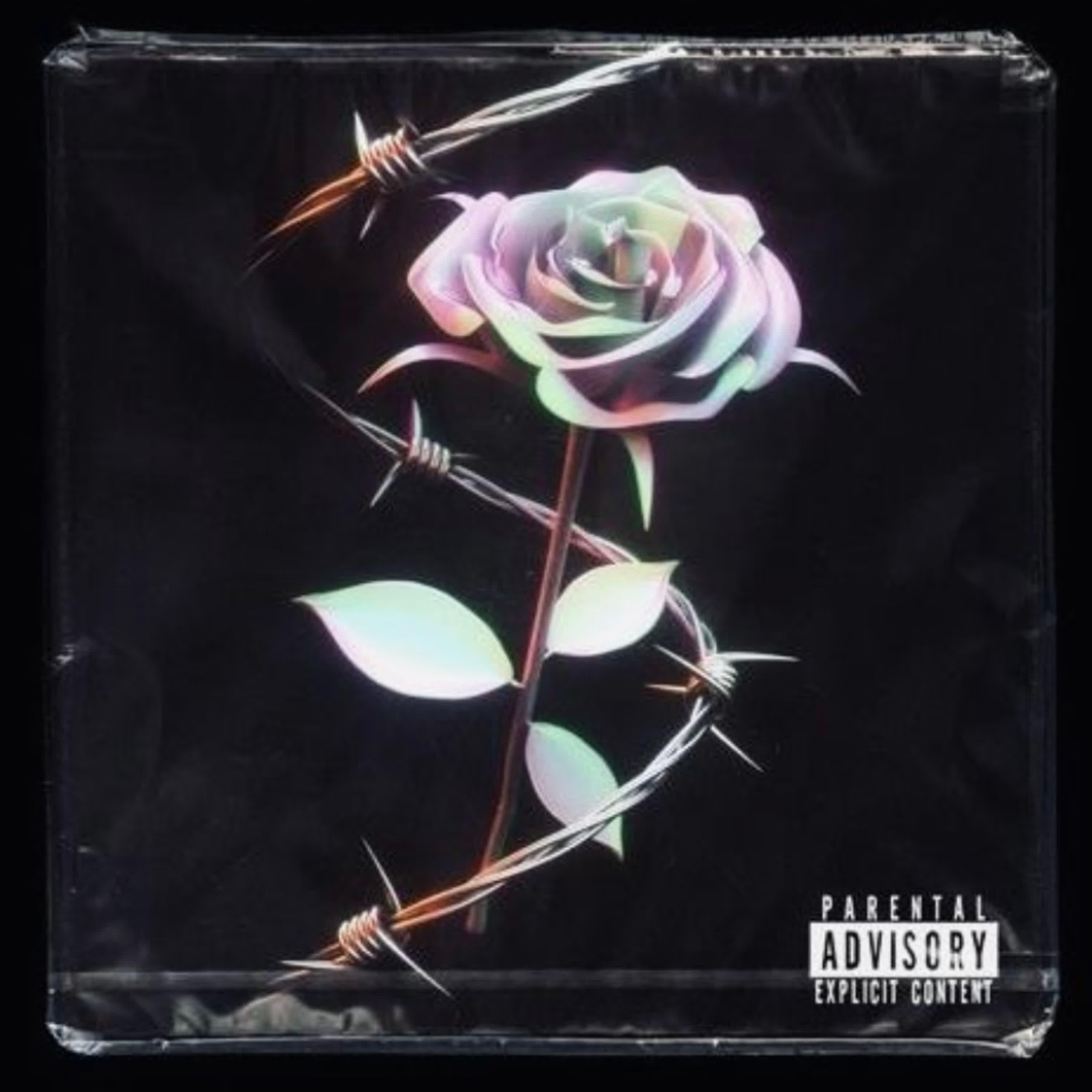 Релиз Black Rose
