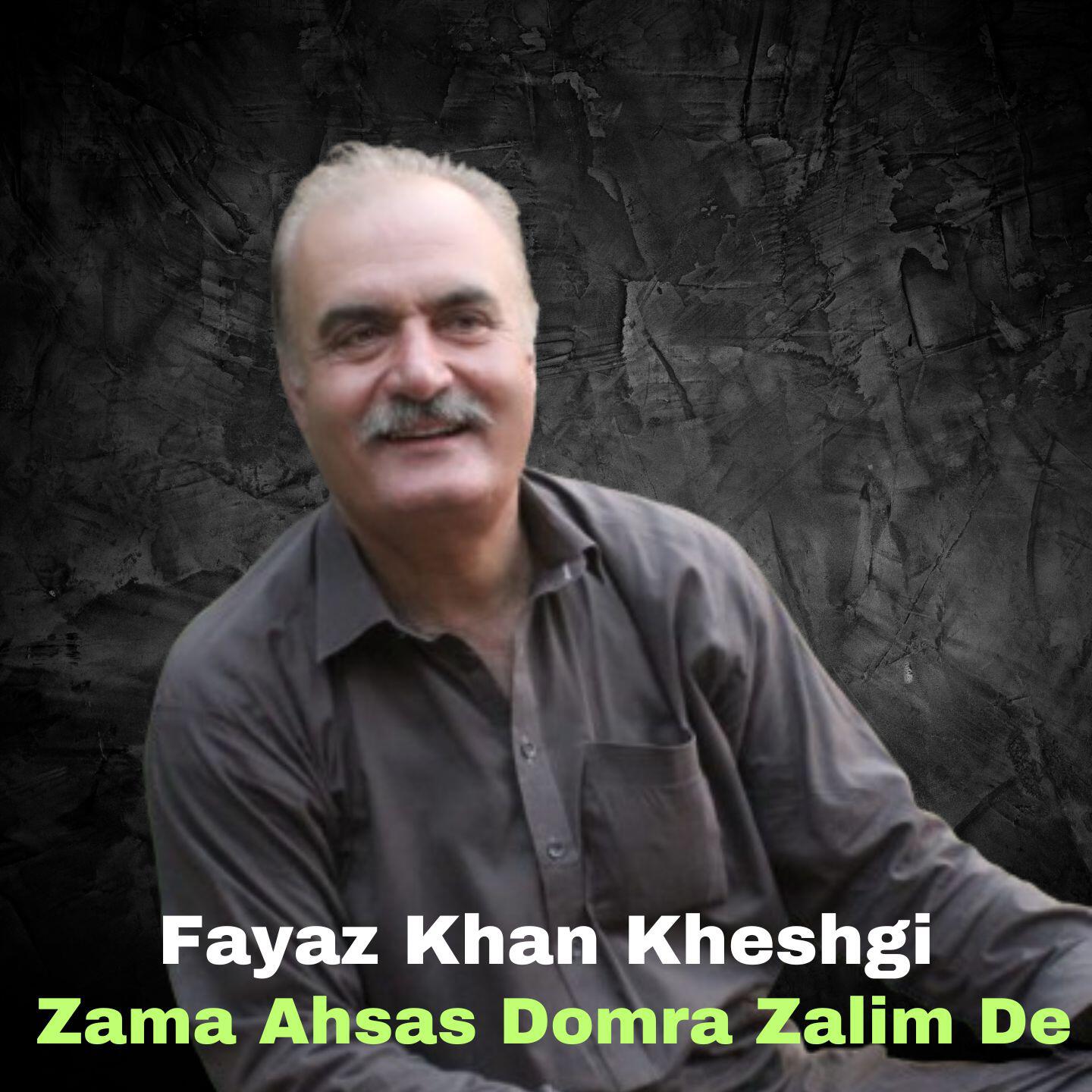 Релиз Zama Ahsas Domra Zalim De