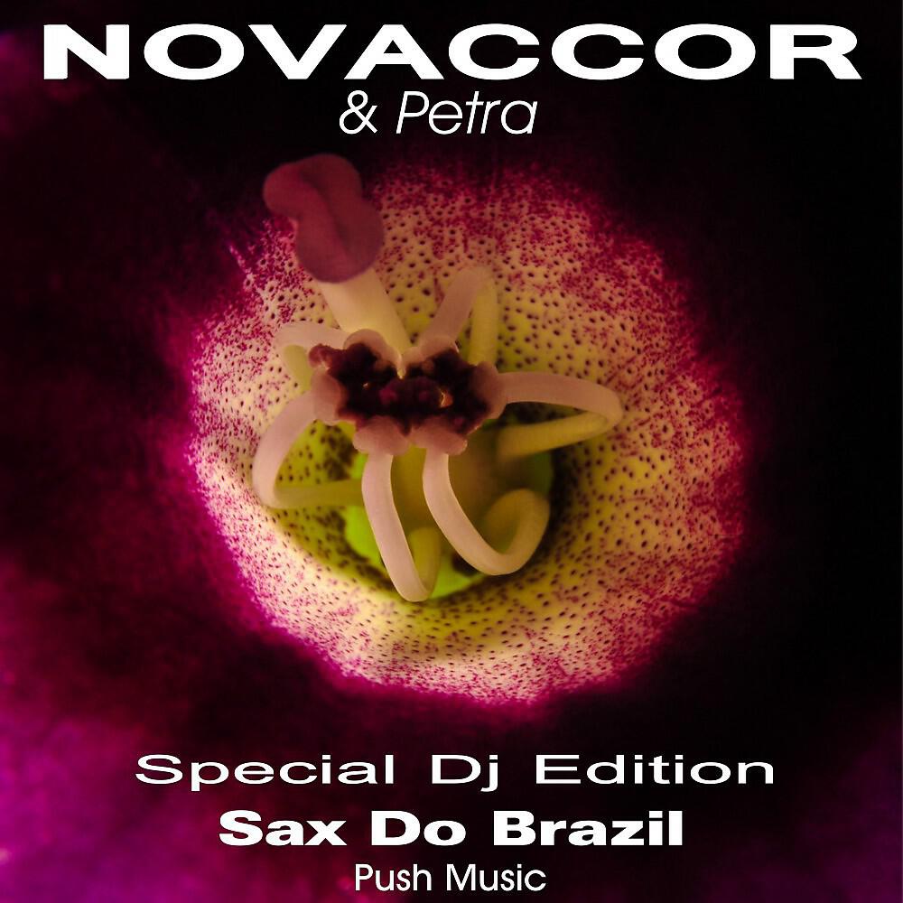 Novaccor & Petra