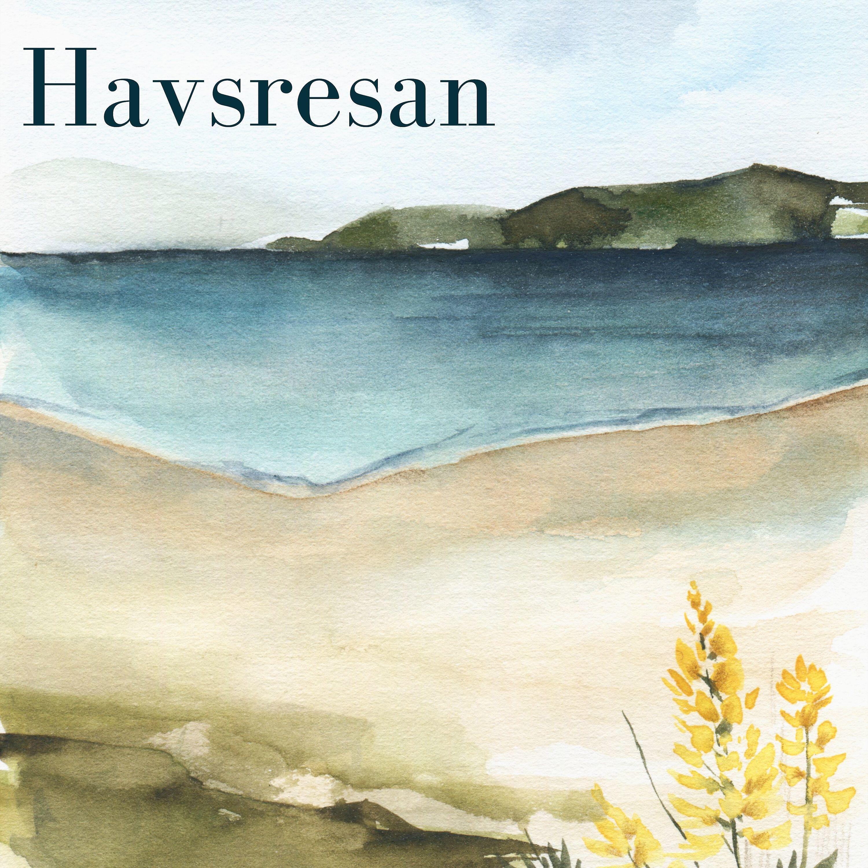 Релиз Havsresan