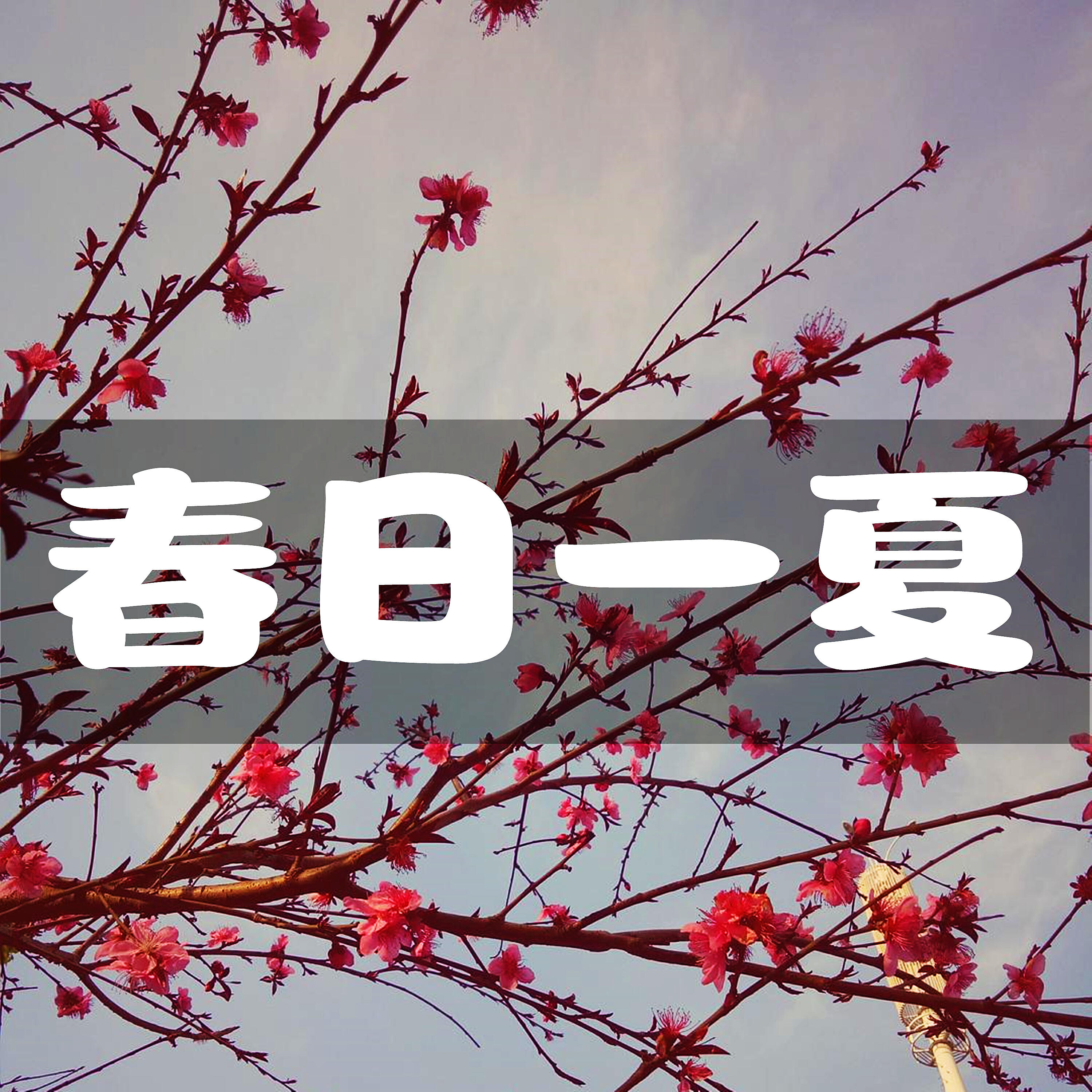 Релиз 春日一夏