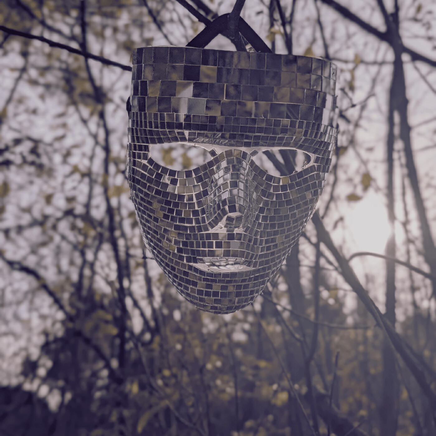 Релиз Lost in the Wild