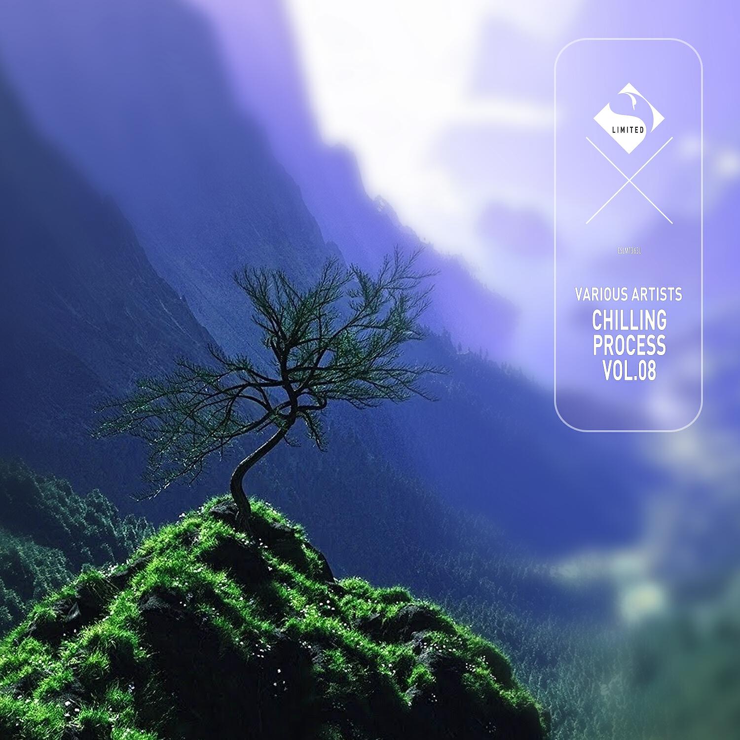 Релиз Chilling Process, Vol.08