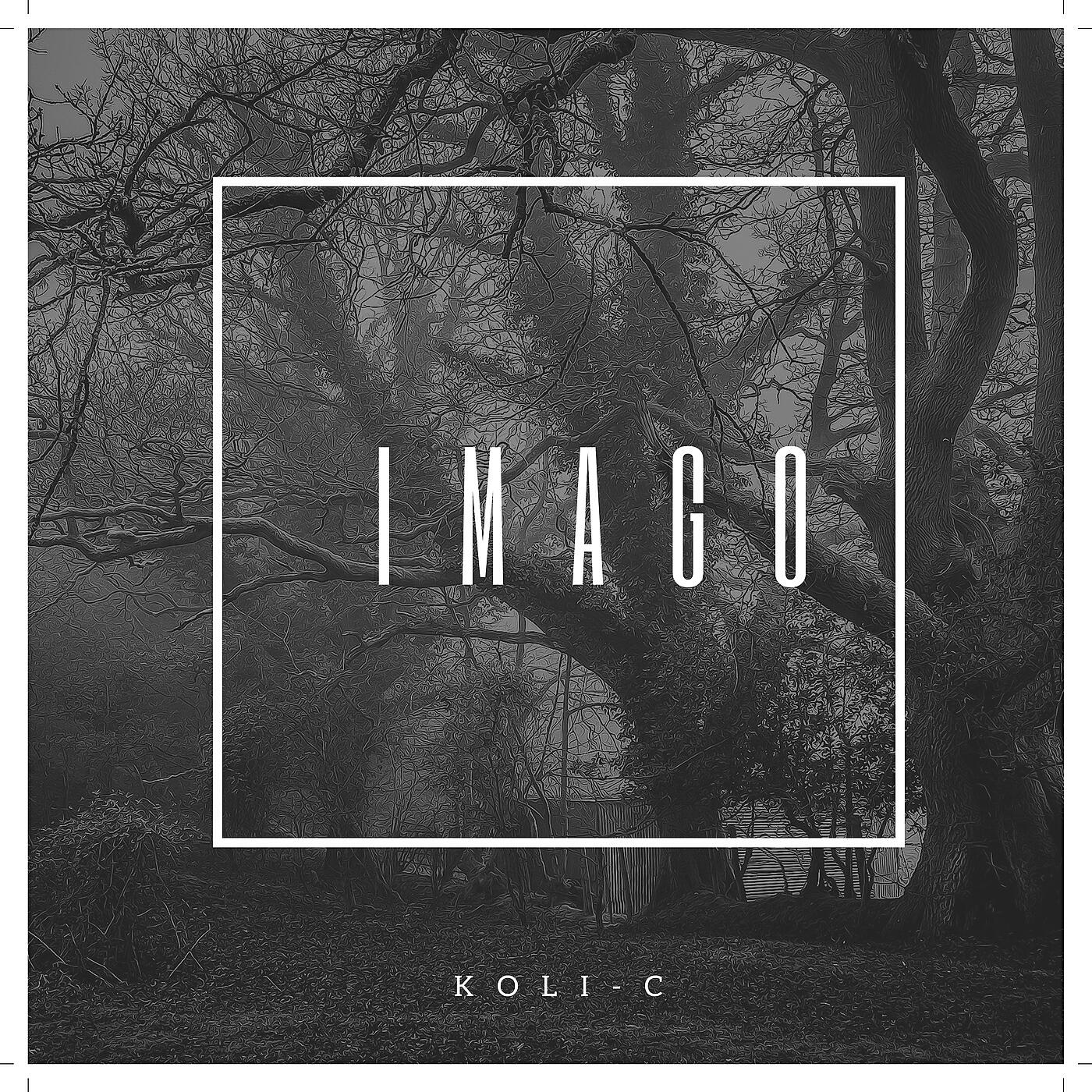 Постер альбома IMAGO