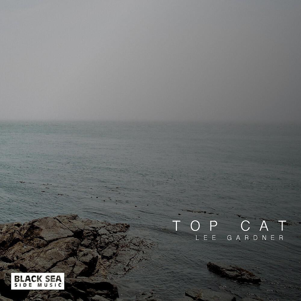 Релиз Top Cat