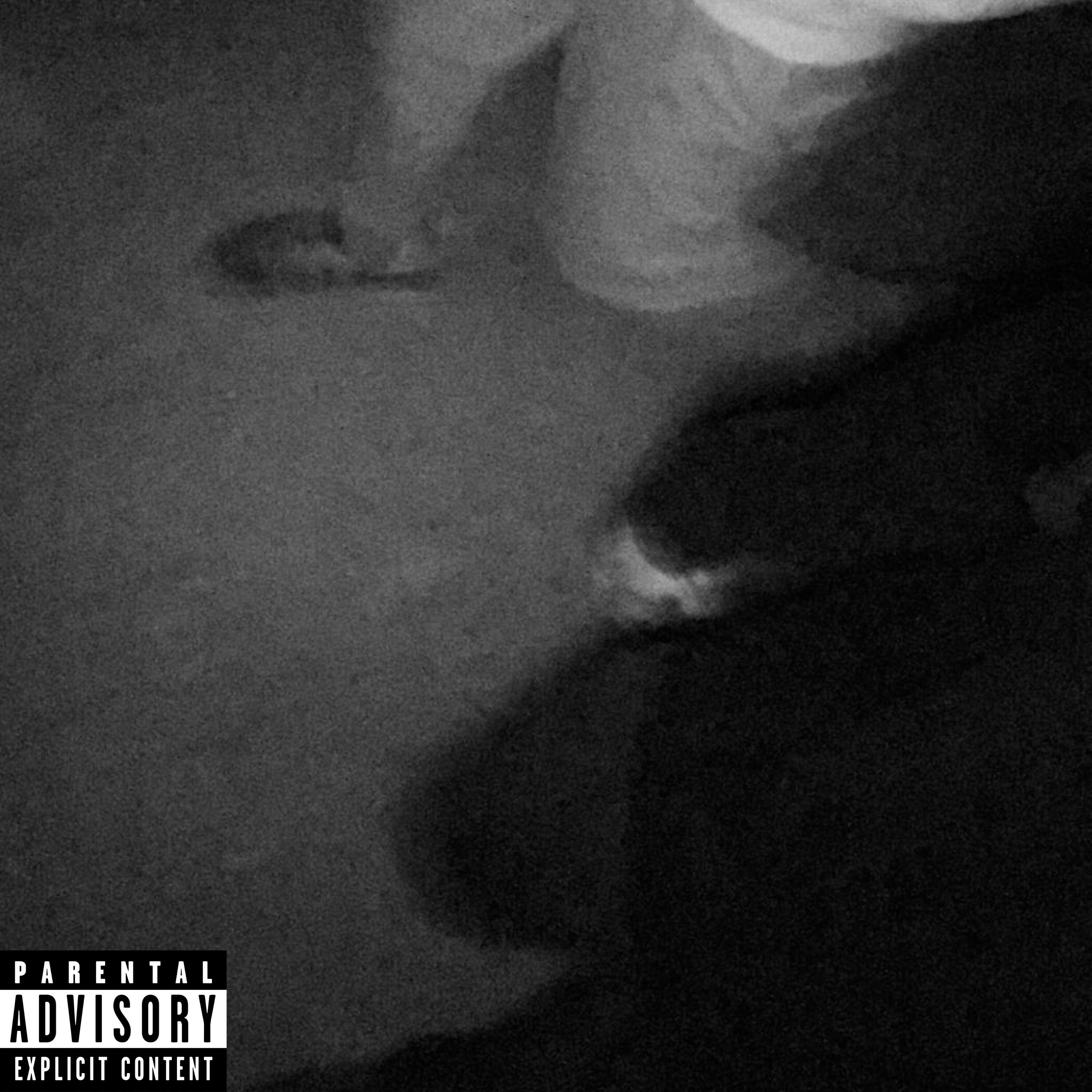 Релиз Apilo Rackz!