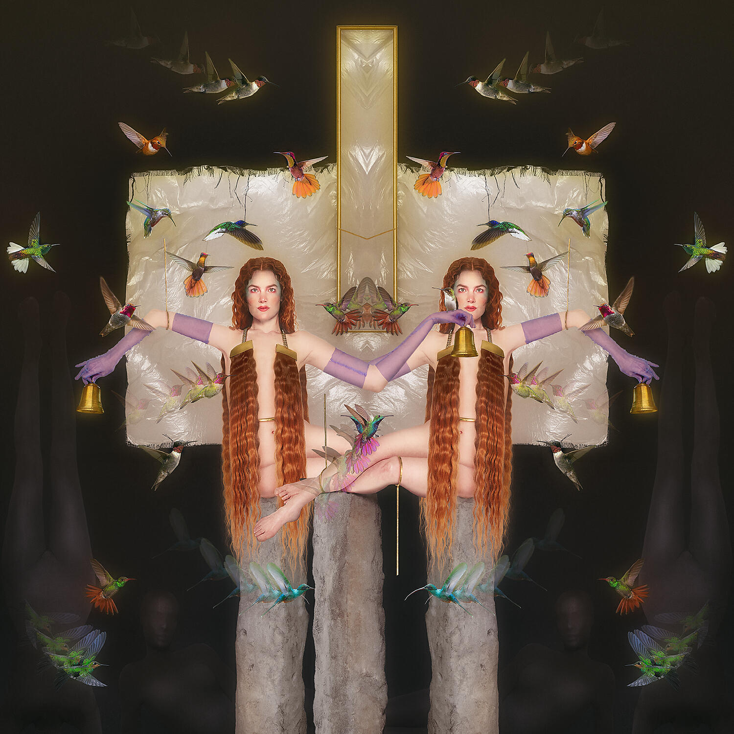 Постер альбома Twin
