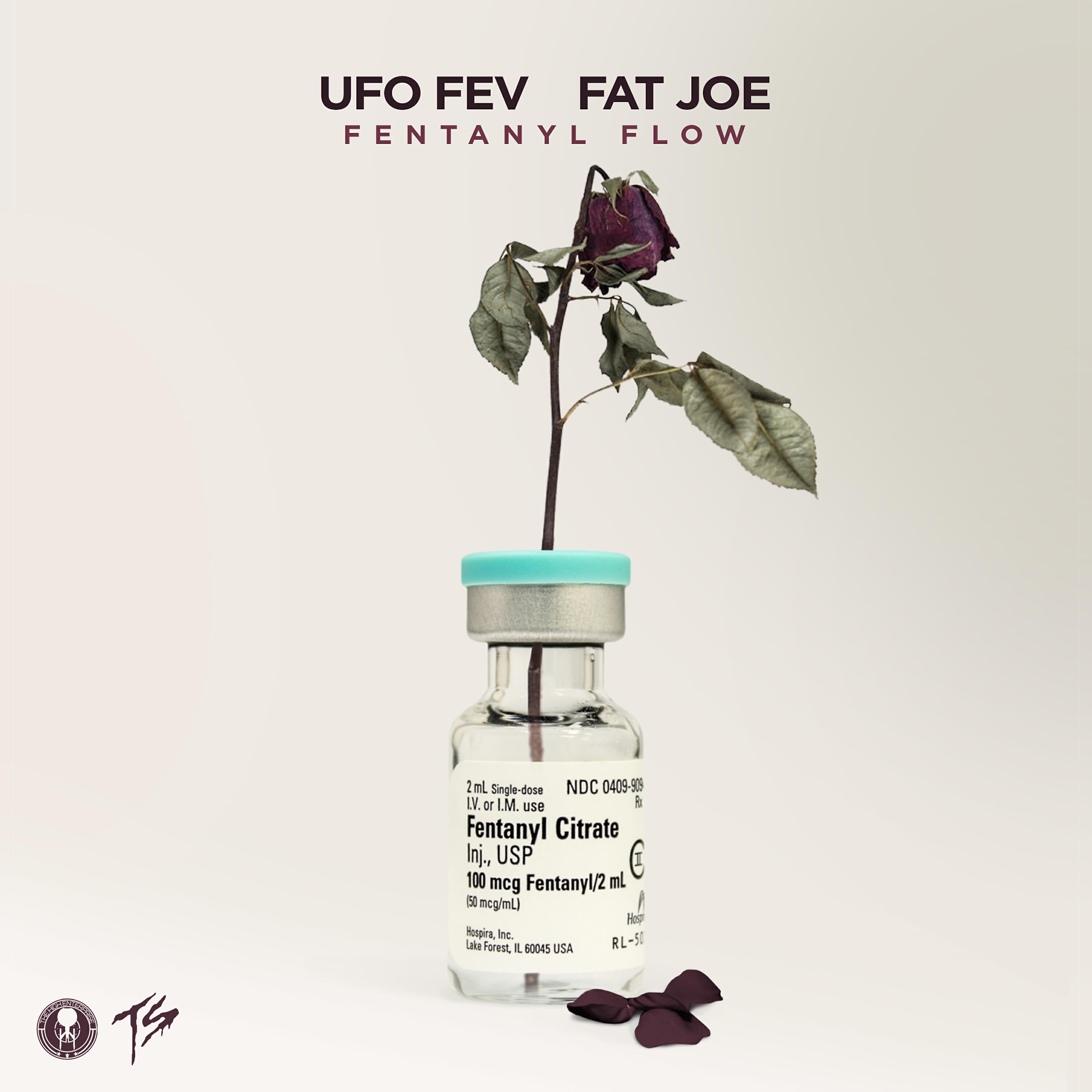 Релиз Fentanyl Flow (feat. Fat Joe) [Radio Edit]
