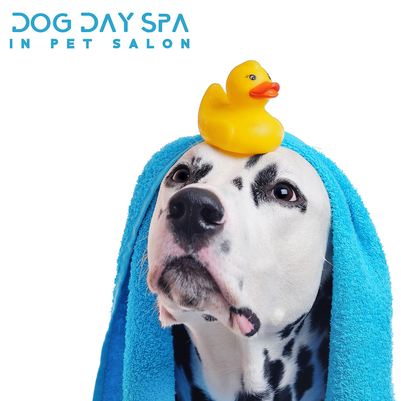 Релиз Dog Day Spa - In Pet Salon, Relaxing Tracks for Dog Anxiety. Pet Therapy, Animal Reiki