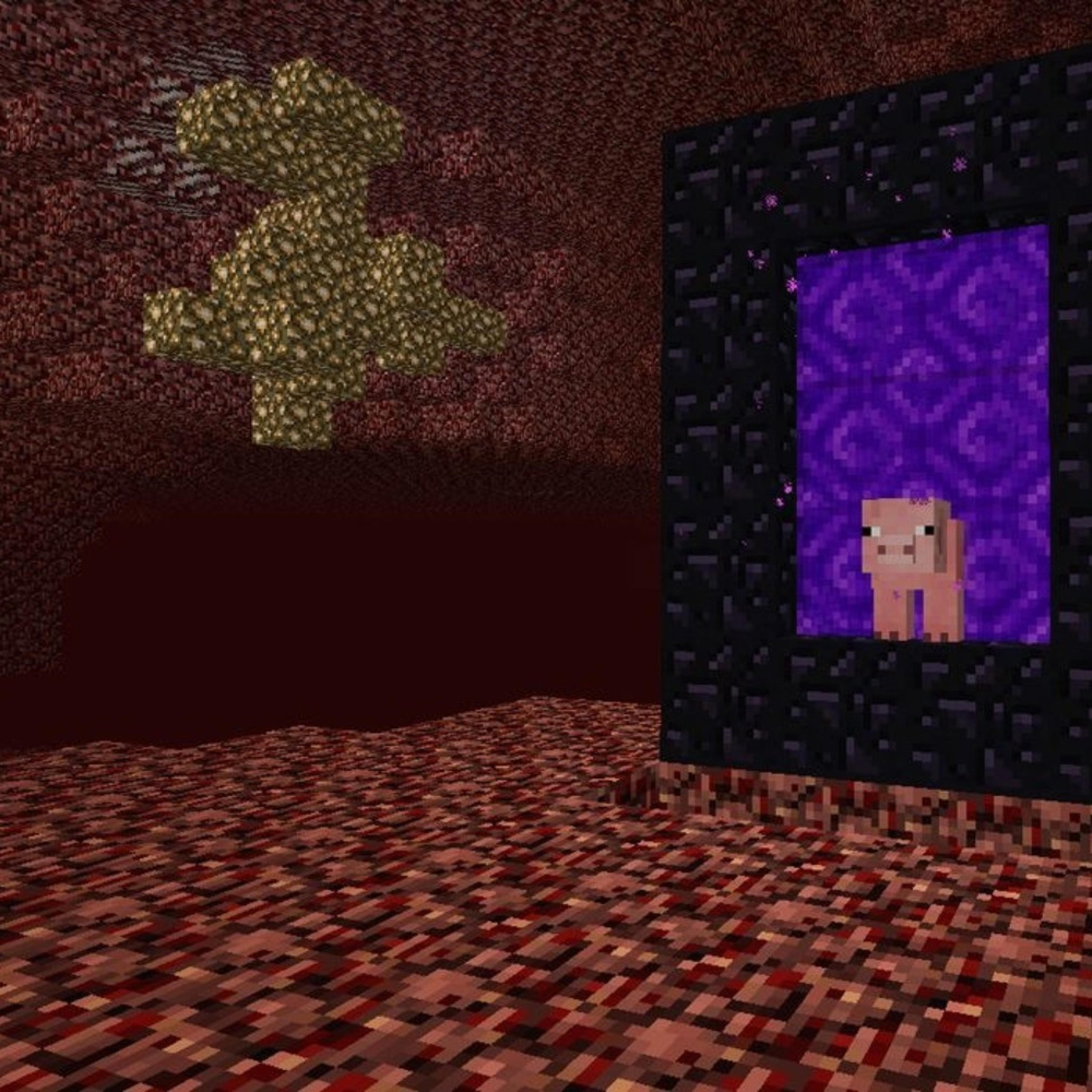 Релиз Nether