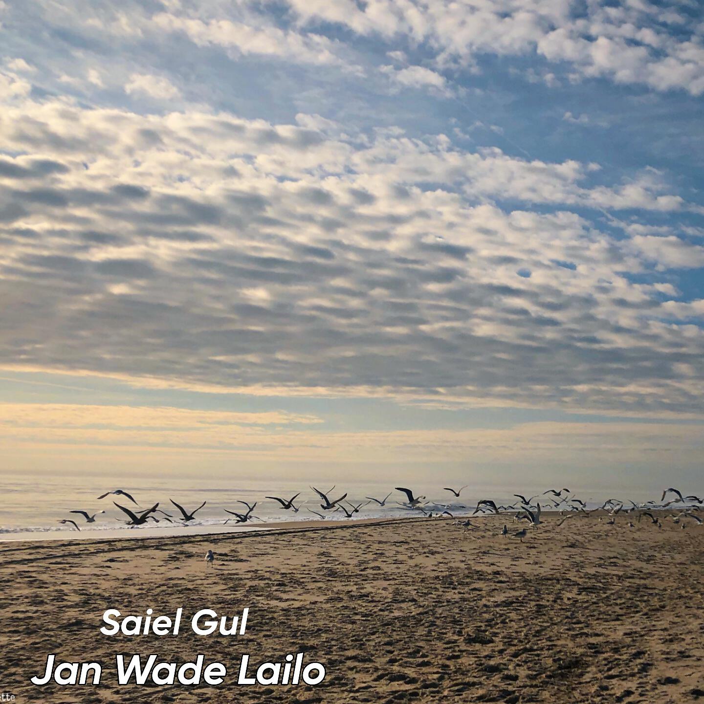 Релиз Jan Wade Lailo