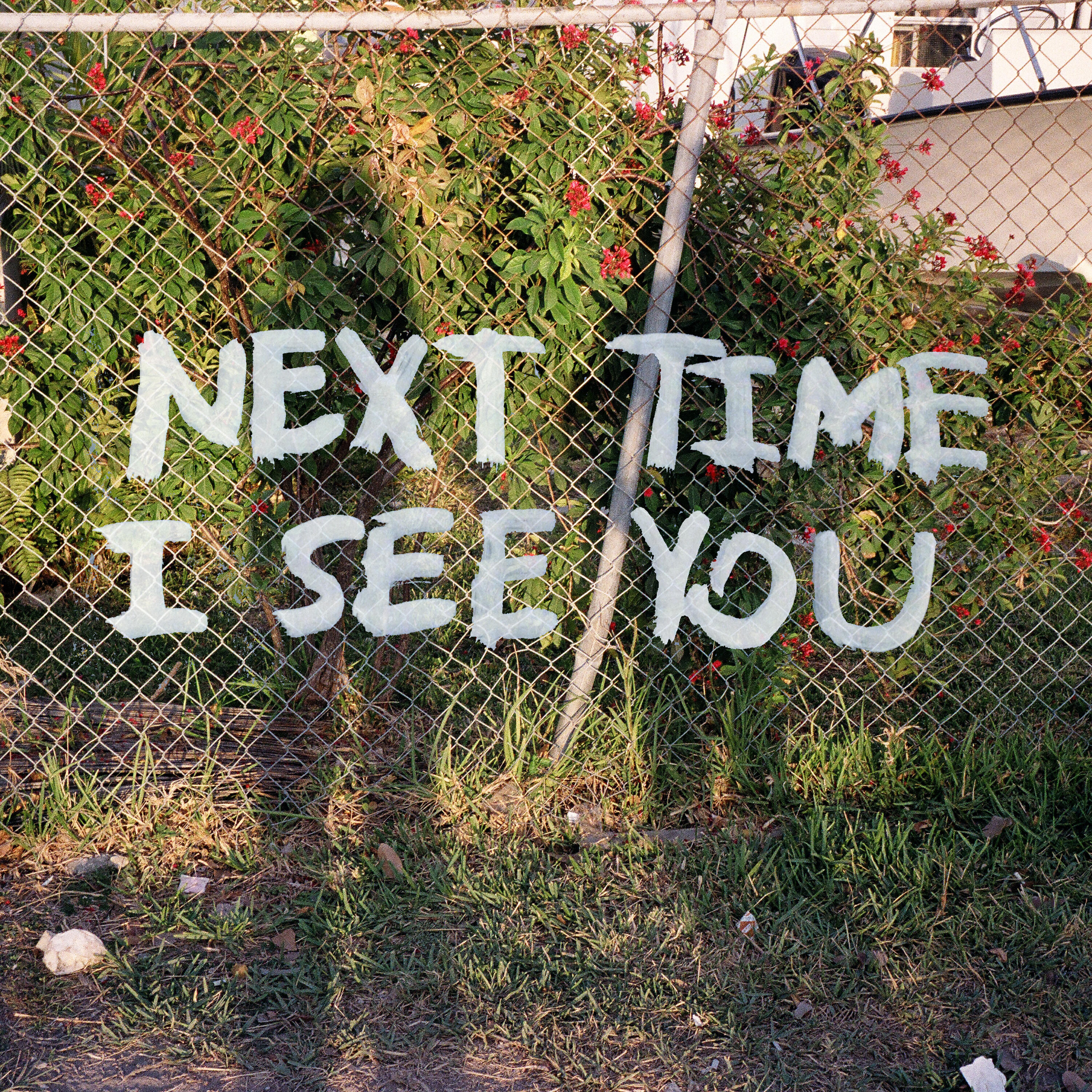 Релиз Next Time I See You