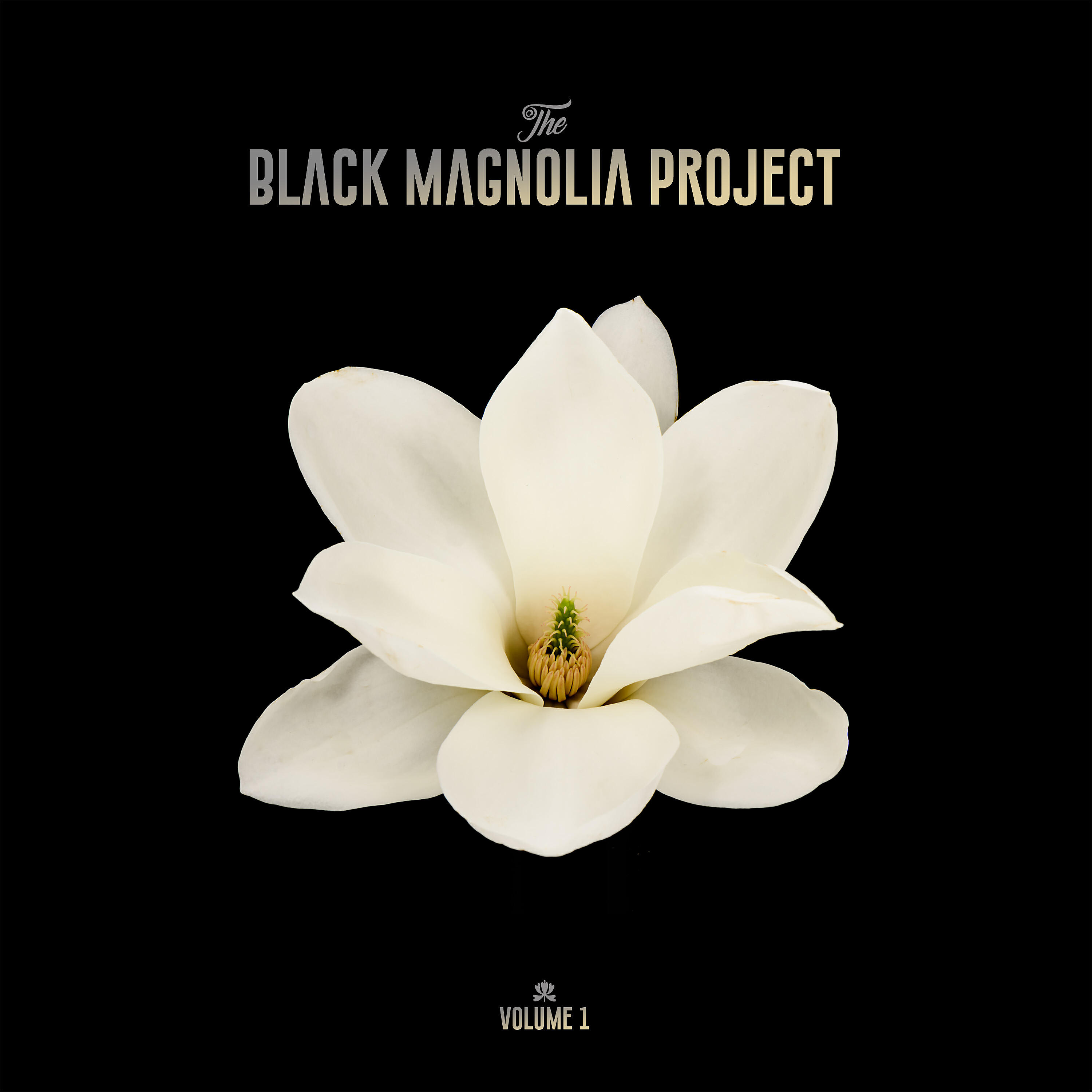 Релиз The Black Magnolia Project