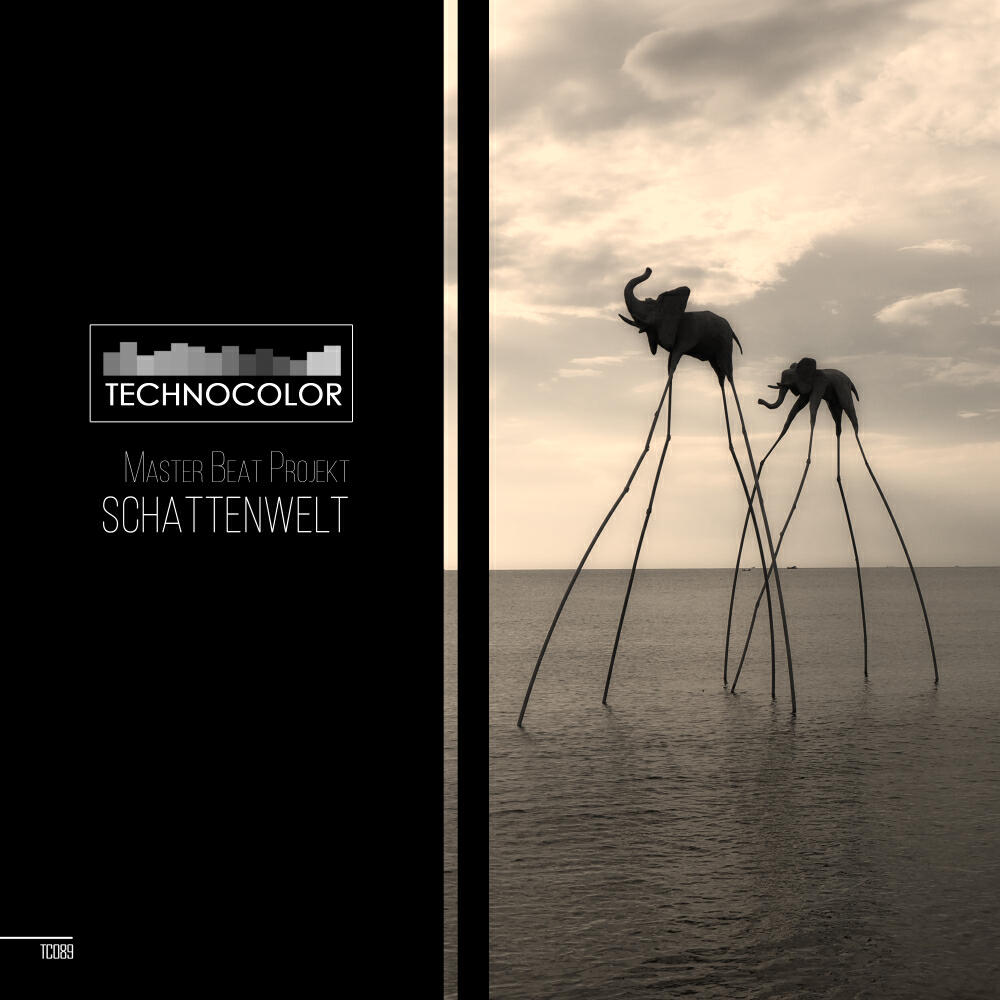 Релиз Schattenwelt