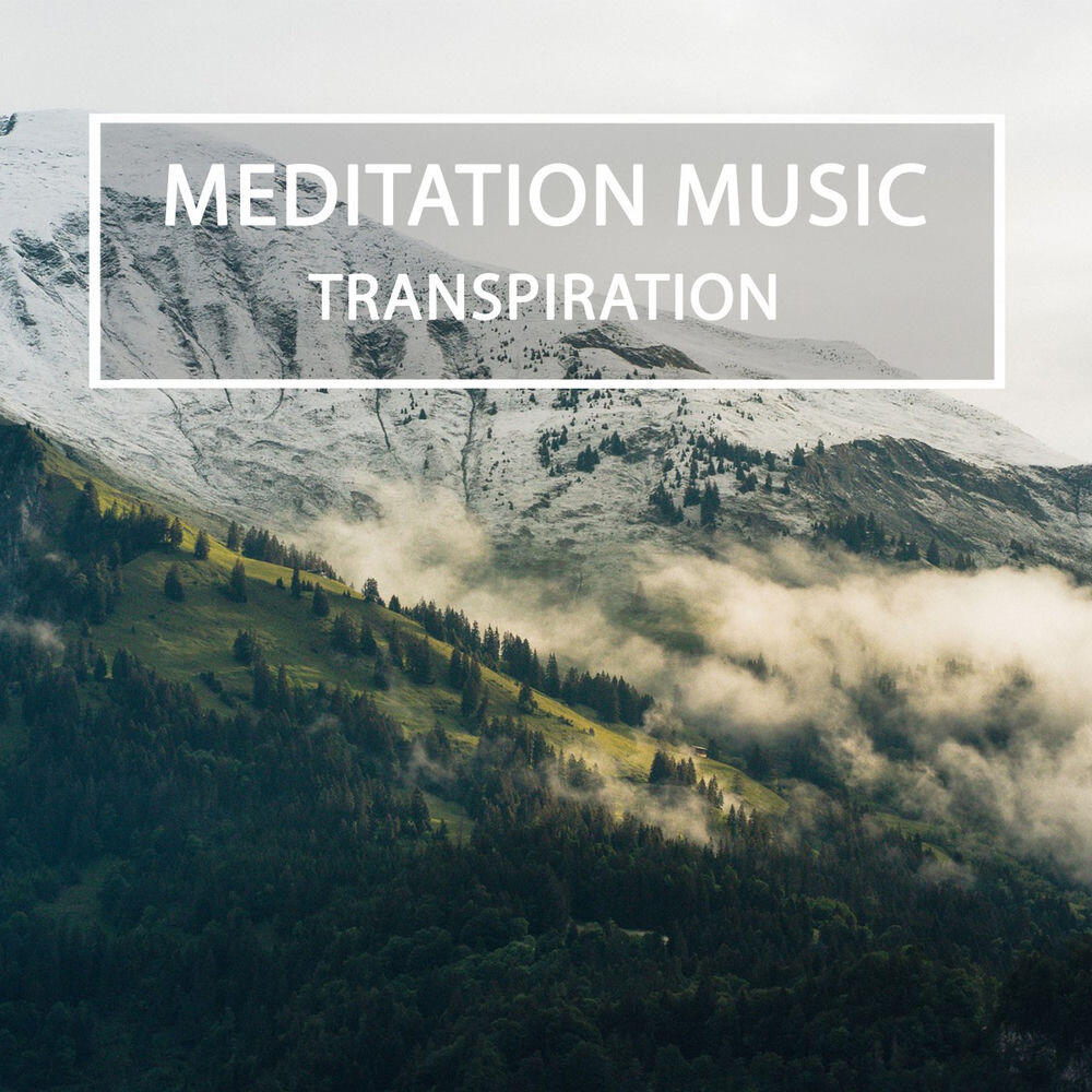 Релиз TRANSPIRATION