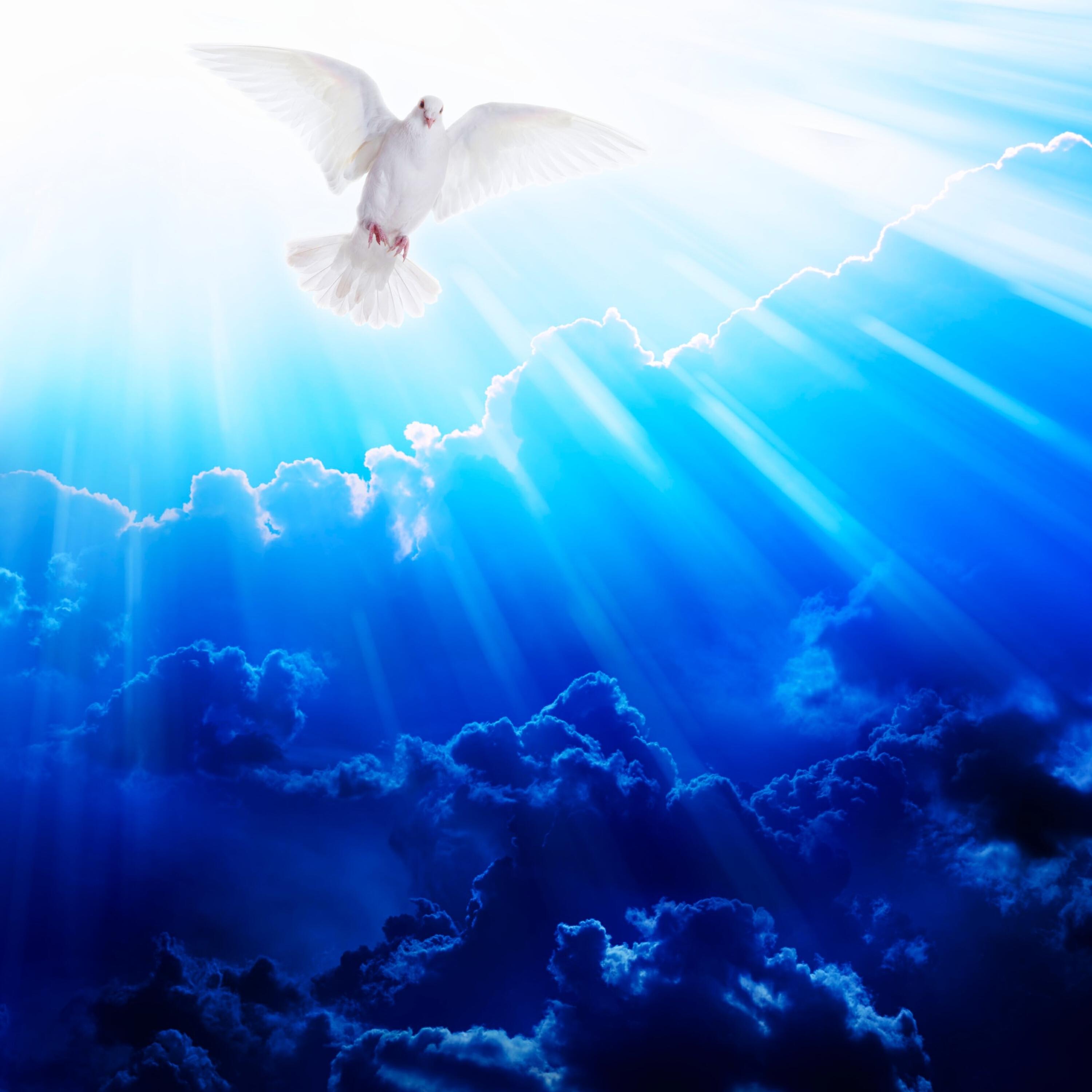 Релиз Миру мир