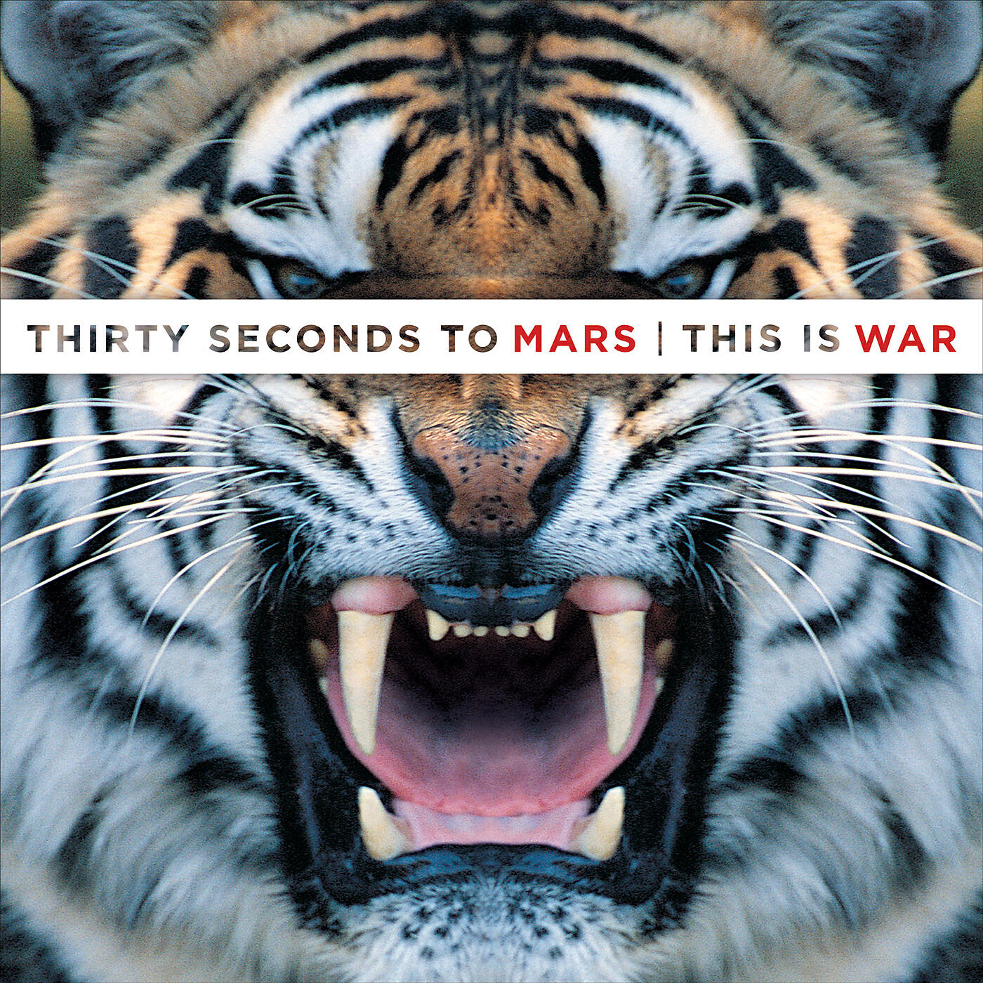 THIRTY SECONDS TO MARS - L490