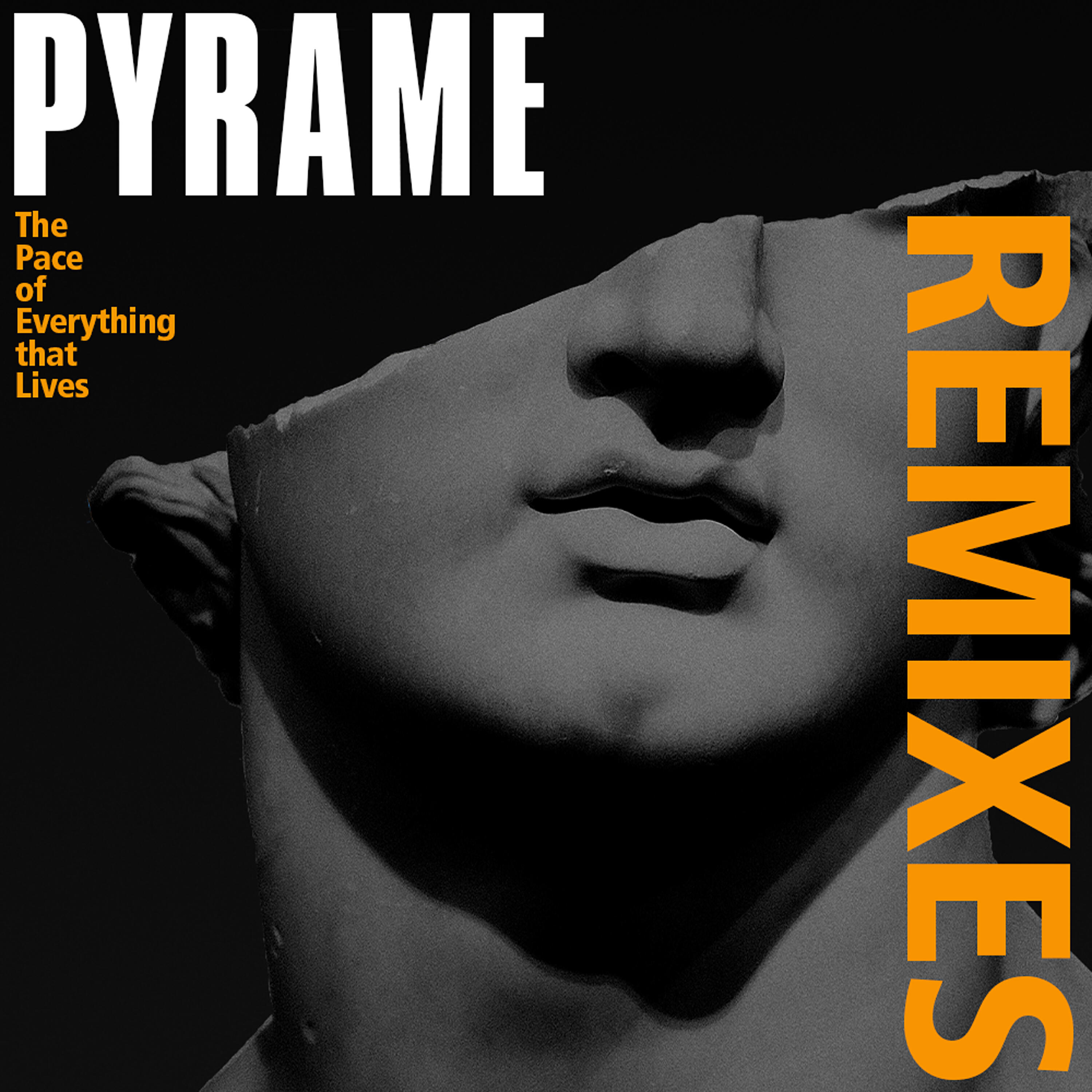 Релиз The Pace of Everything that Lives (Remixes)