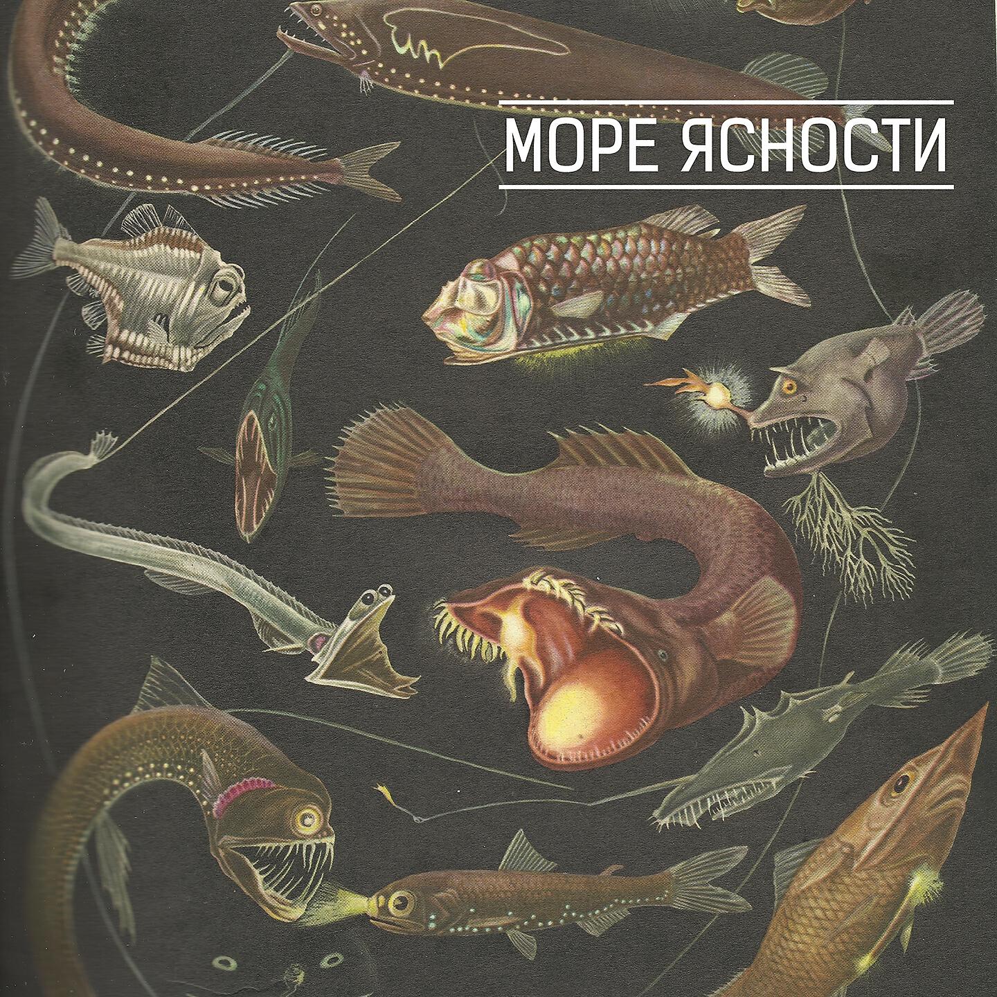 Релиз Море ясности