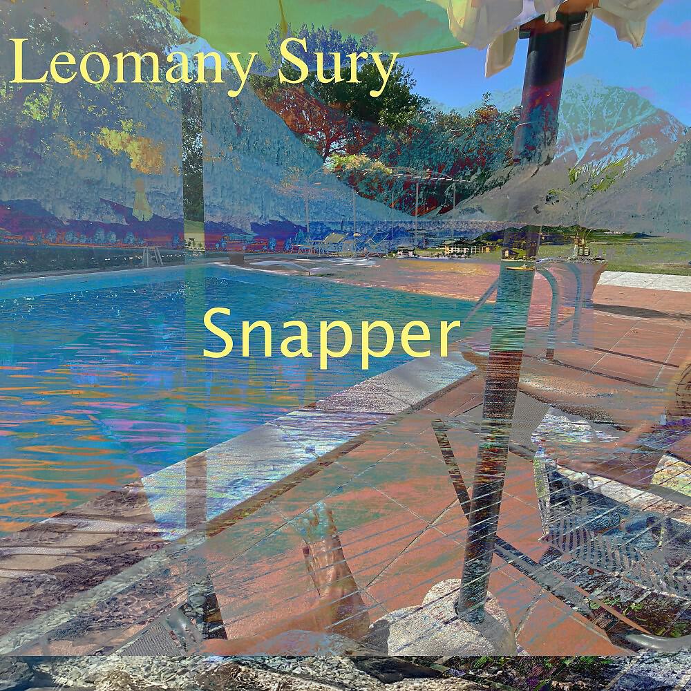 Релиз Snapper