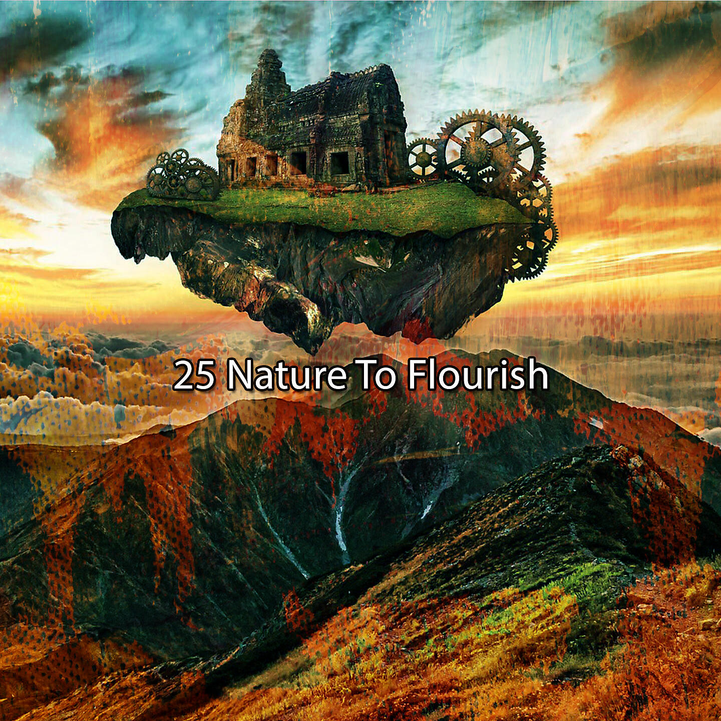 Постер альбома 25 Nature To Flourish