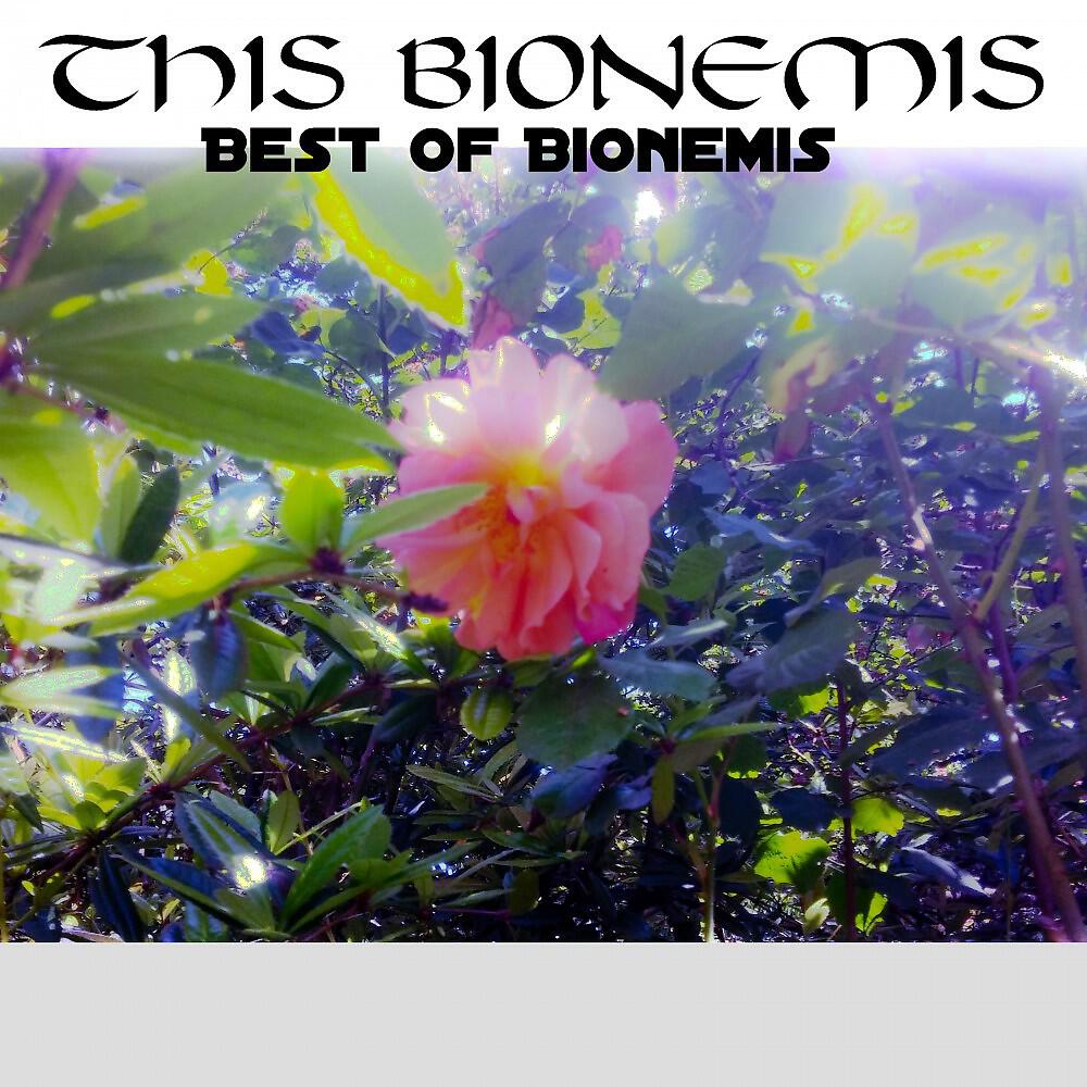 Релиз Best of Bionemis