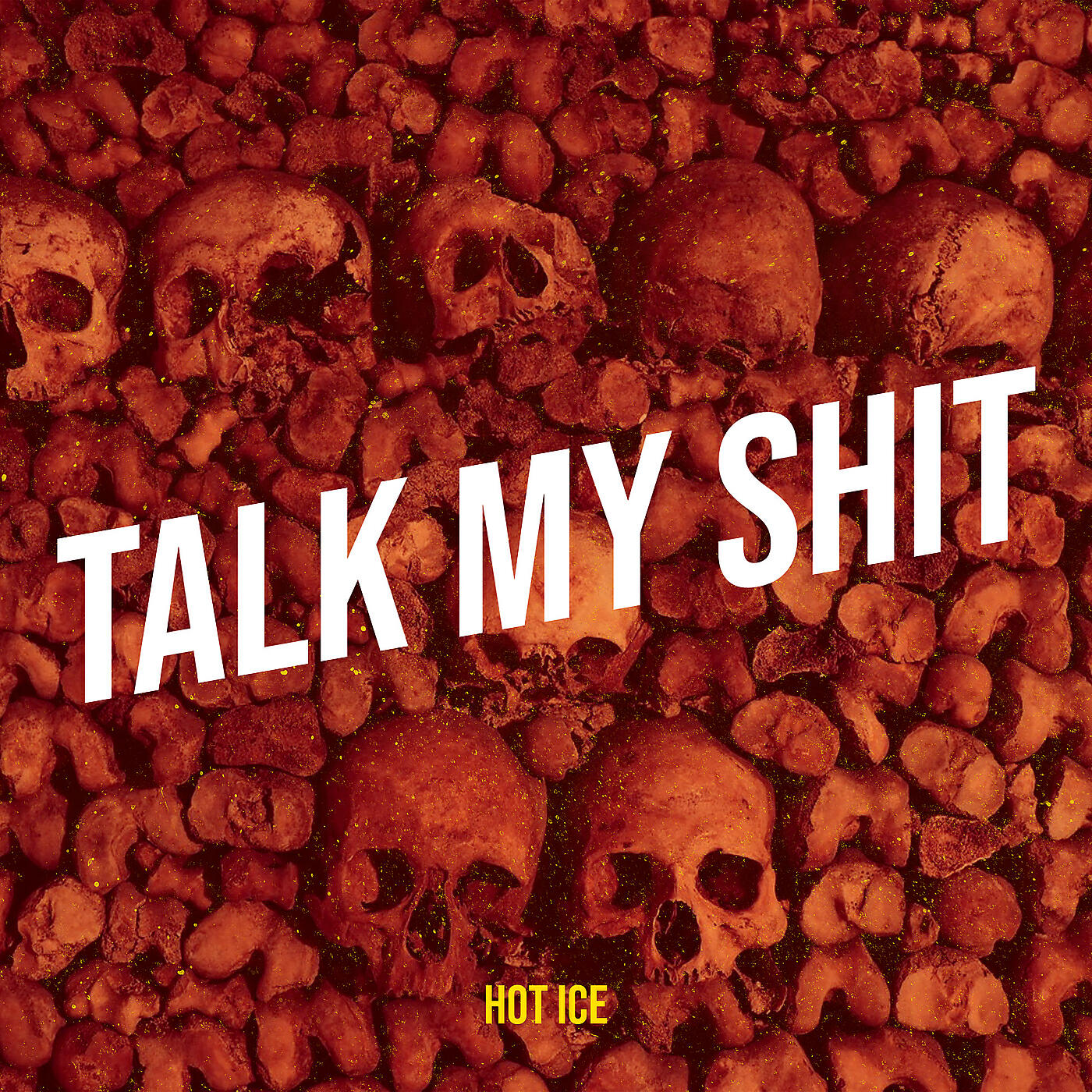 Релиз Talk My Shit