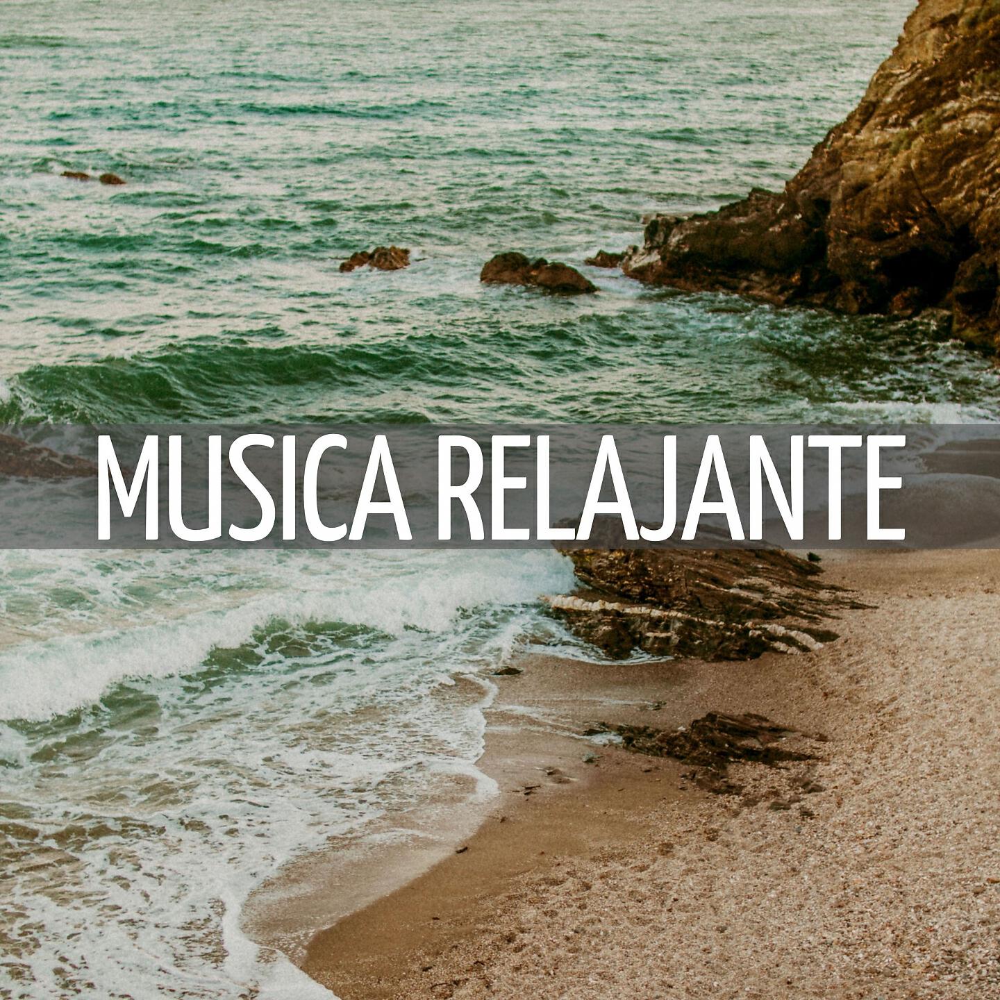 Релиз Musica Relajante
