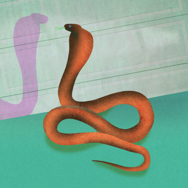 Релиз Spray It Down