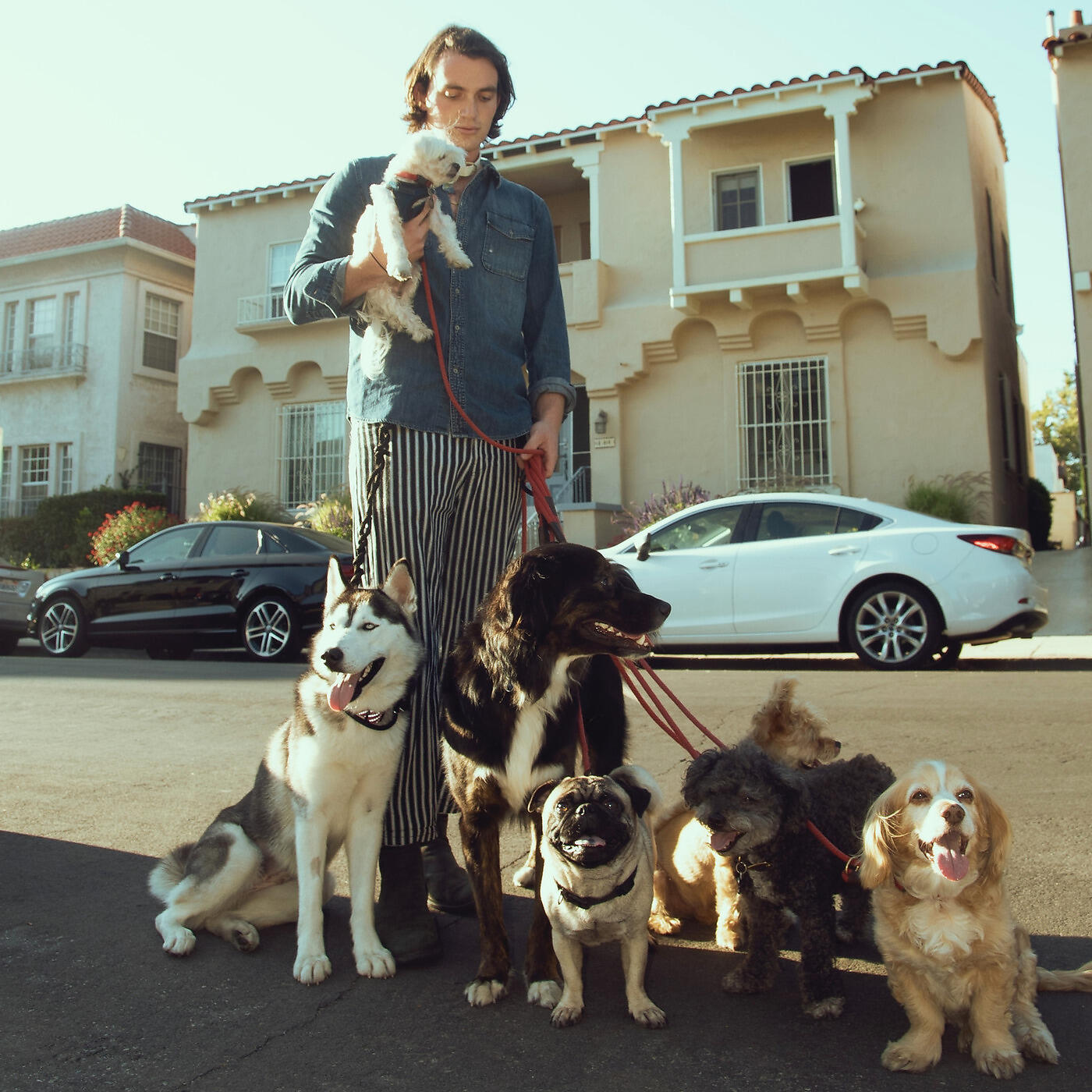 Релиз Get a Dog