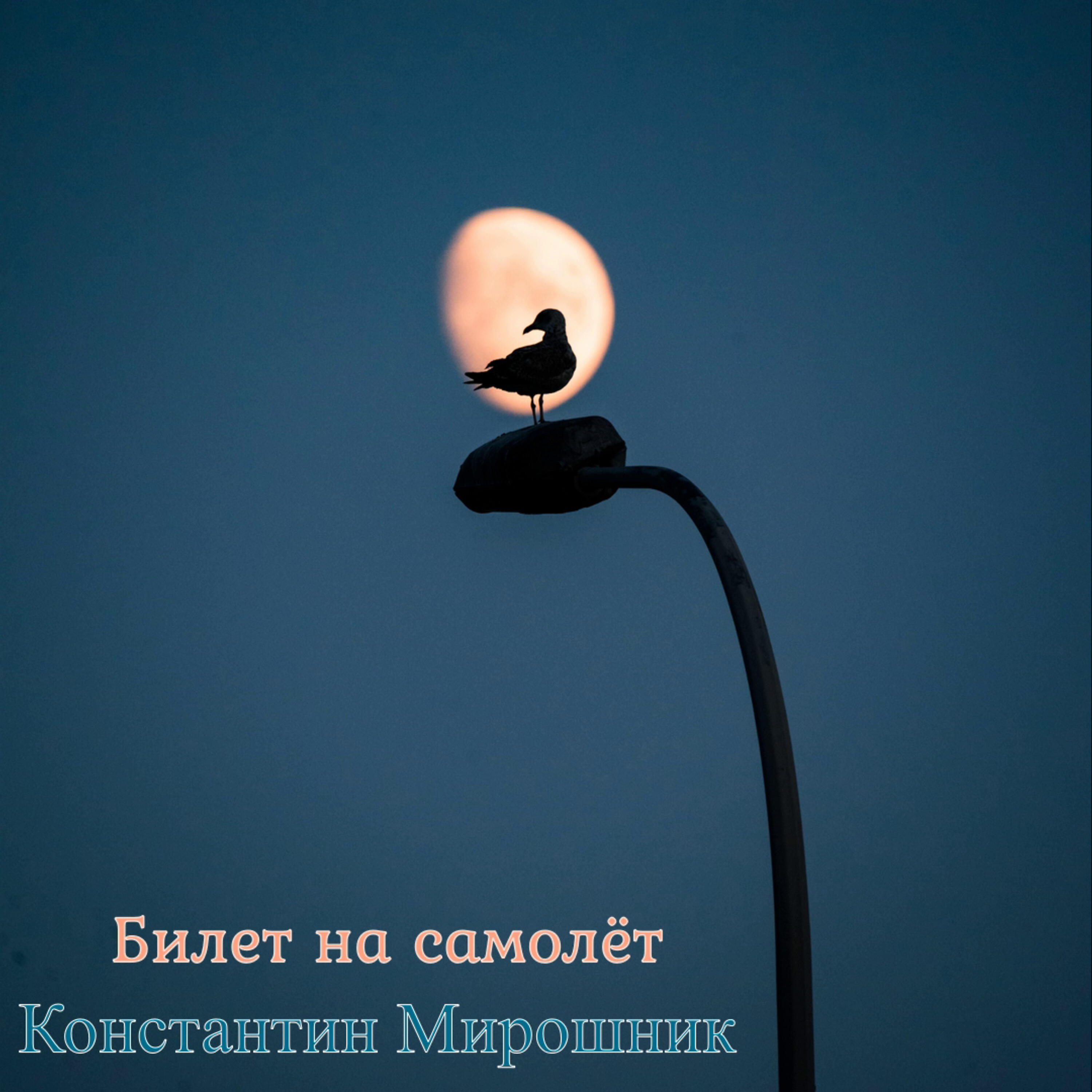 Релиз Билет на самолёт