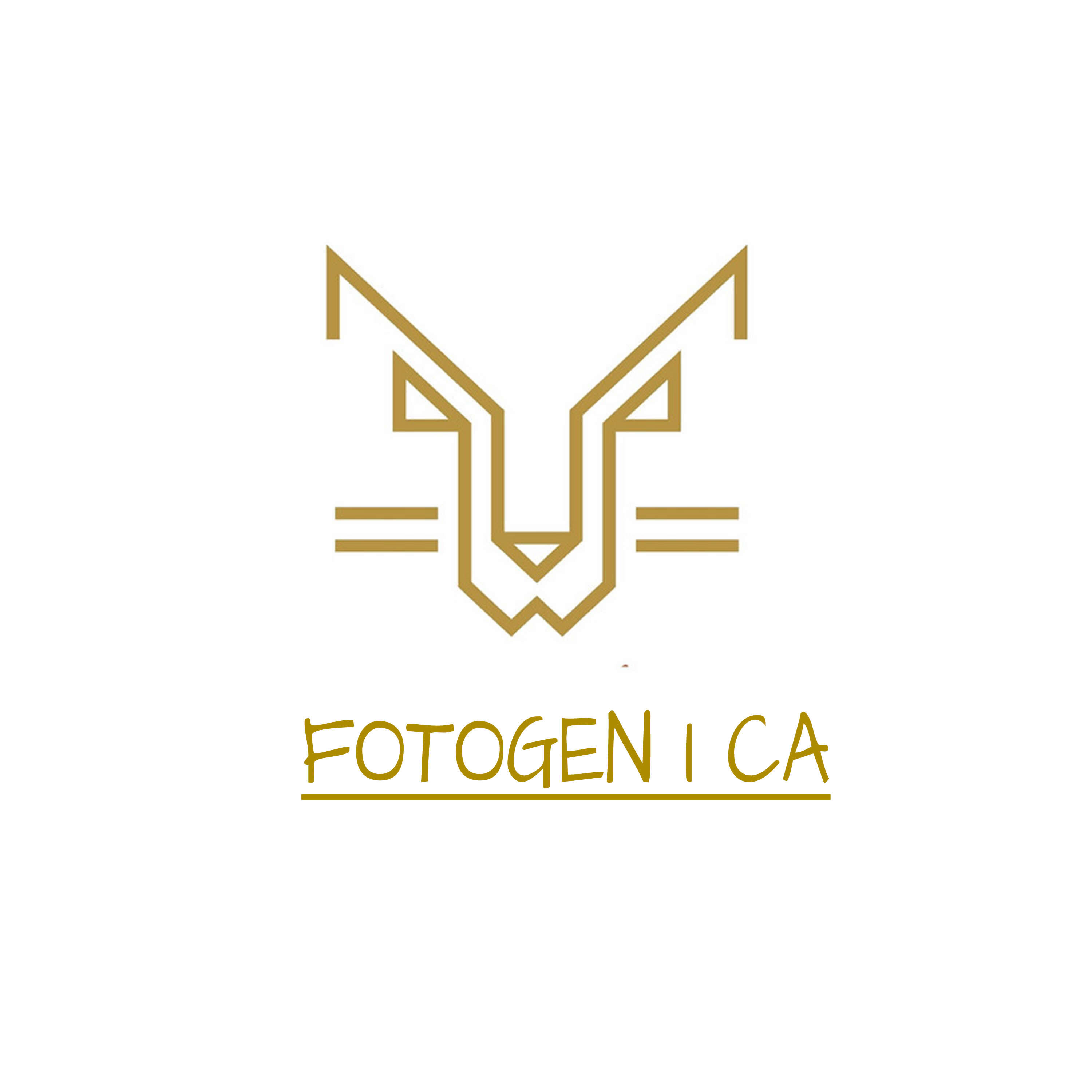 Релиз FOTOGENICA