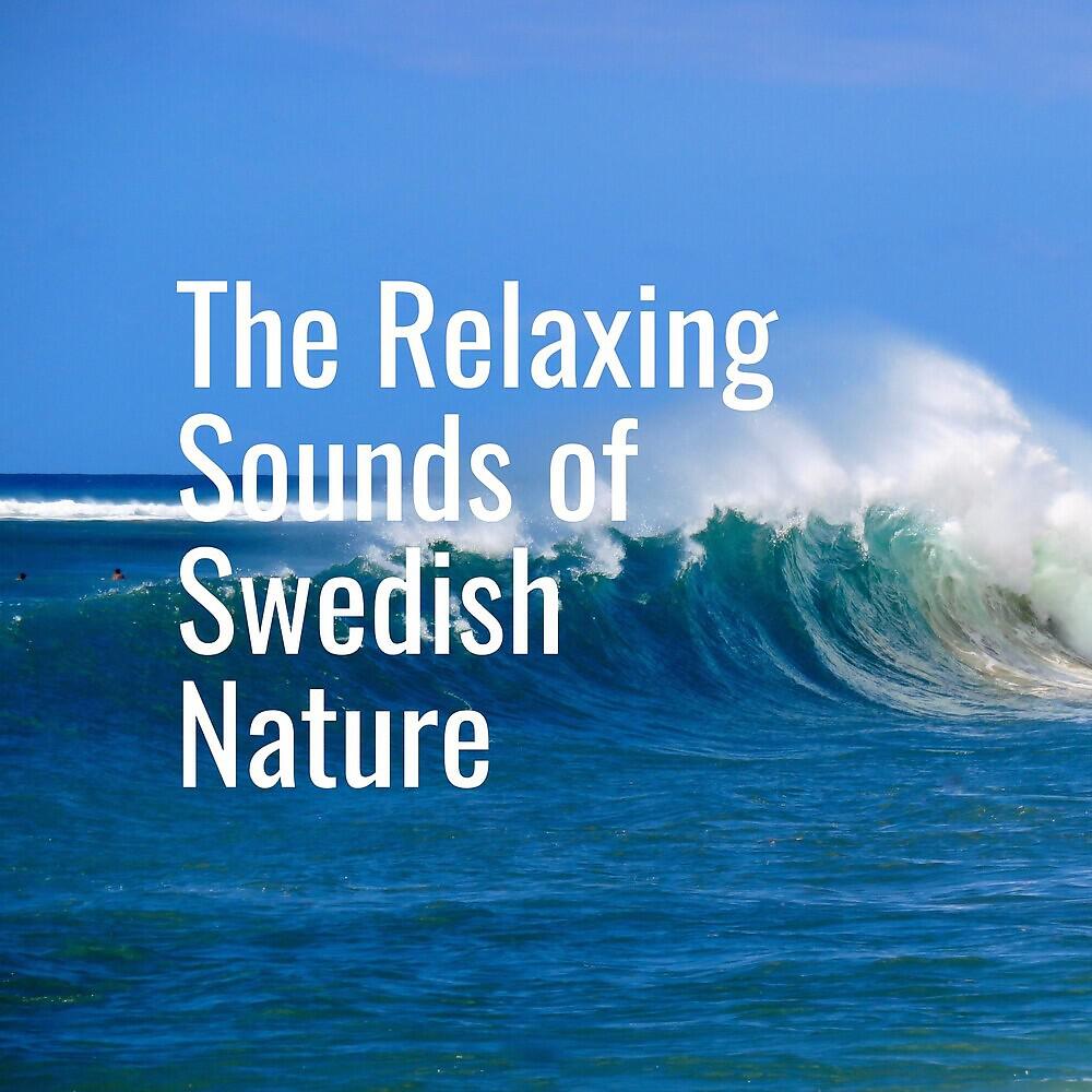Релиз Afternoon Waves