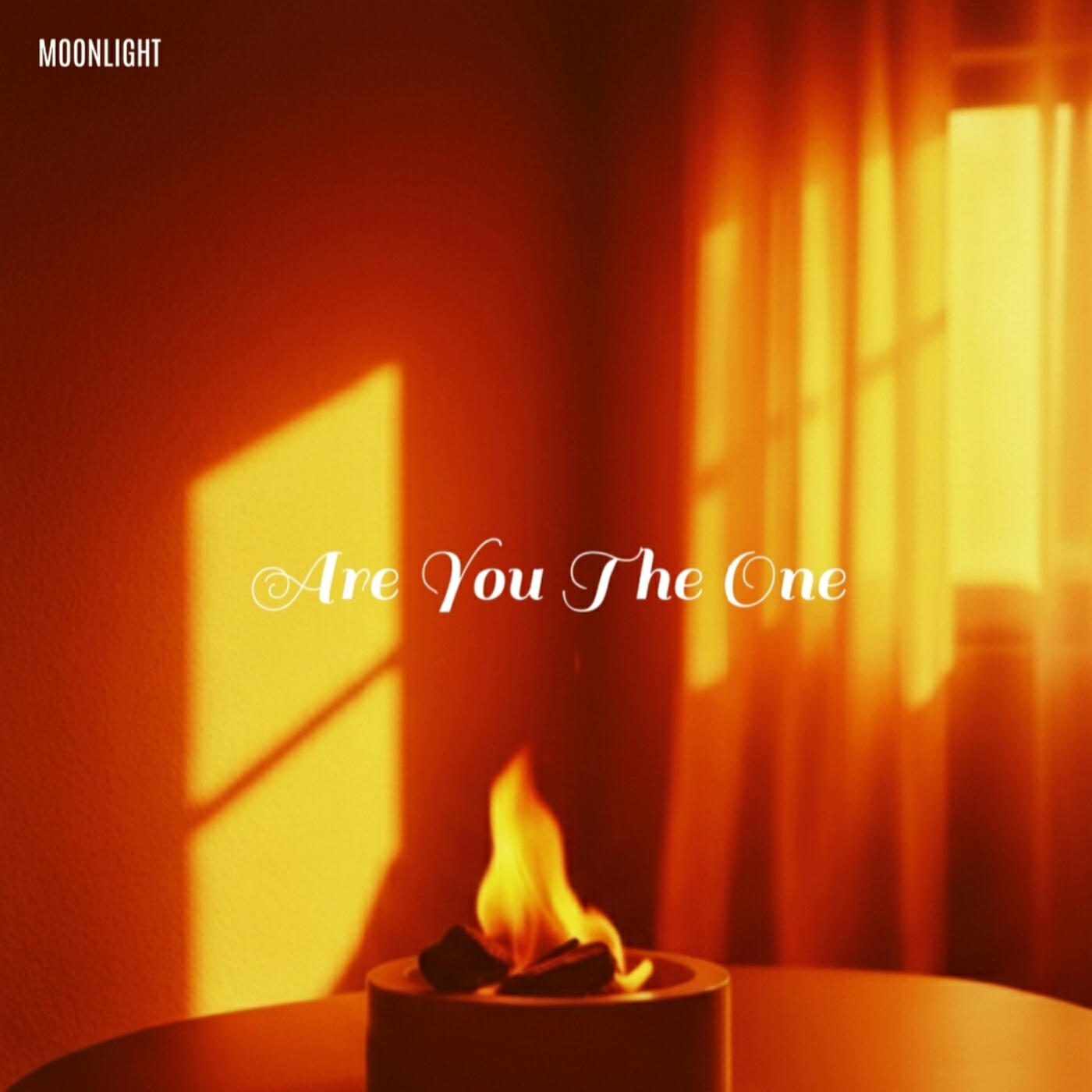 Релиз Are You the One