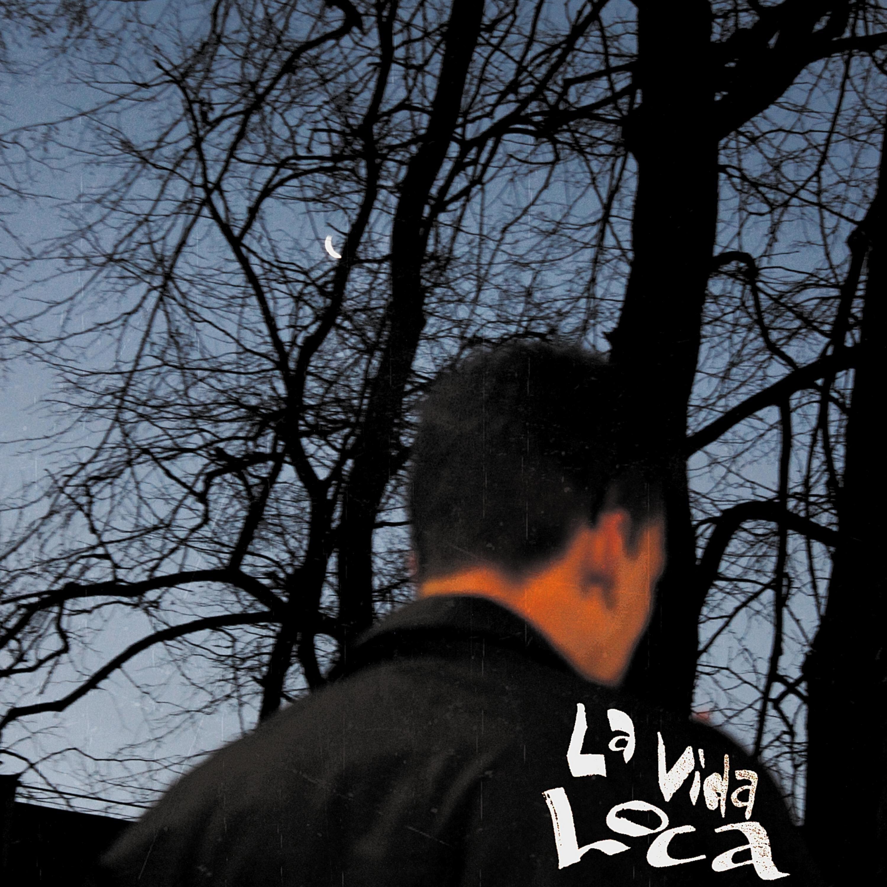 Релиз La Vida Loca