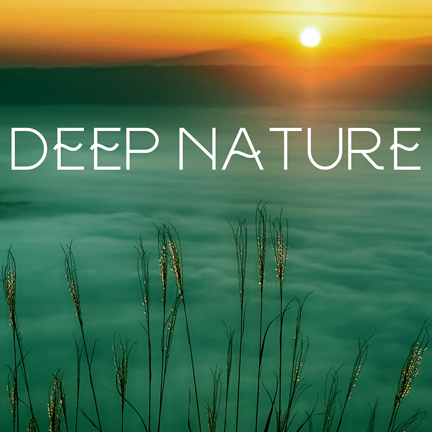 Релиз Deep Nature -  Ambient New Age Music, Serenity Instrumental, Rain for True Relaxation
