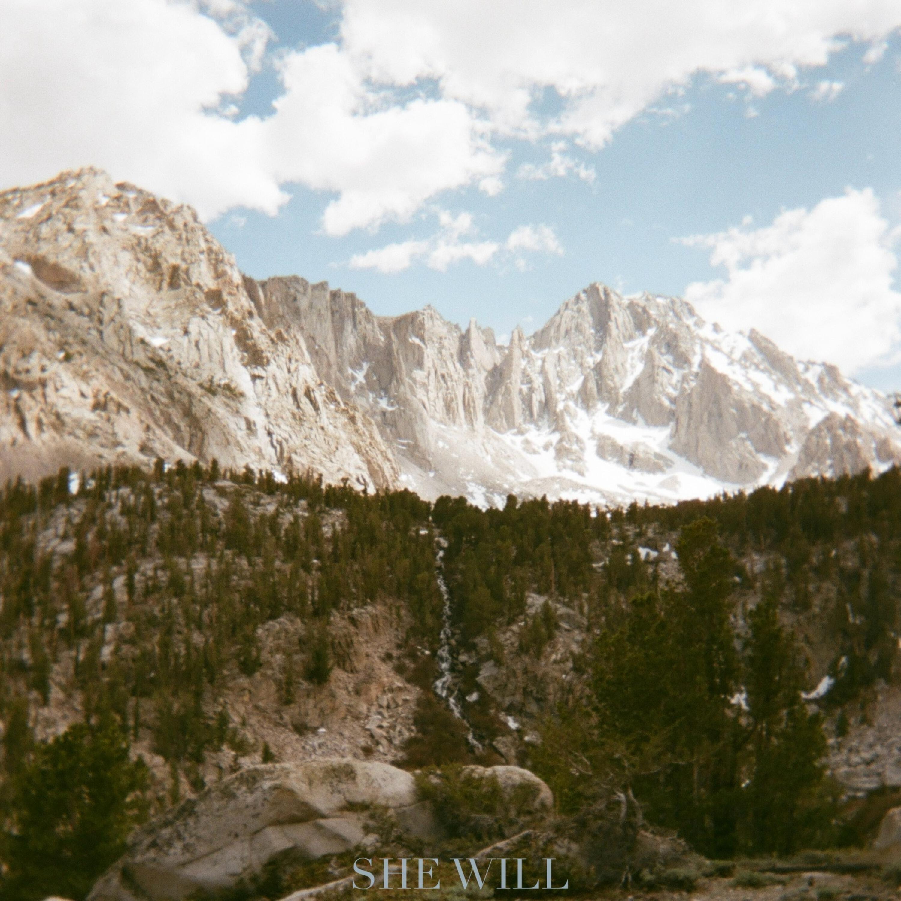Релиз She Will