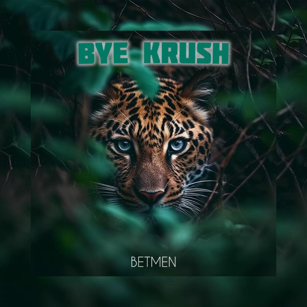 Релиз Bye Krush