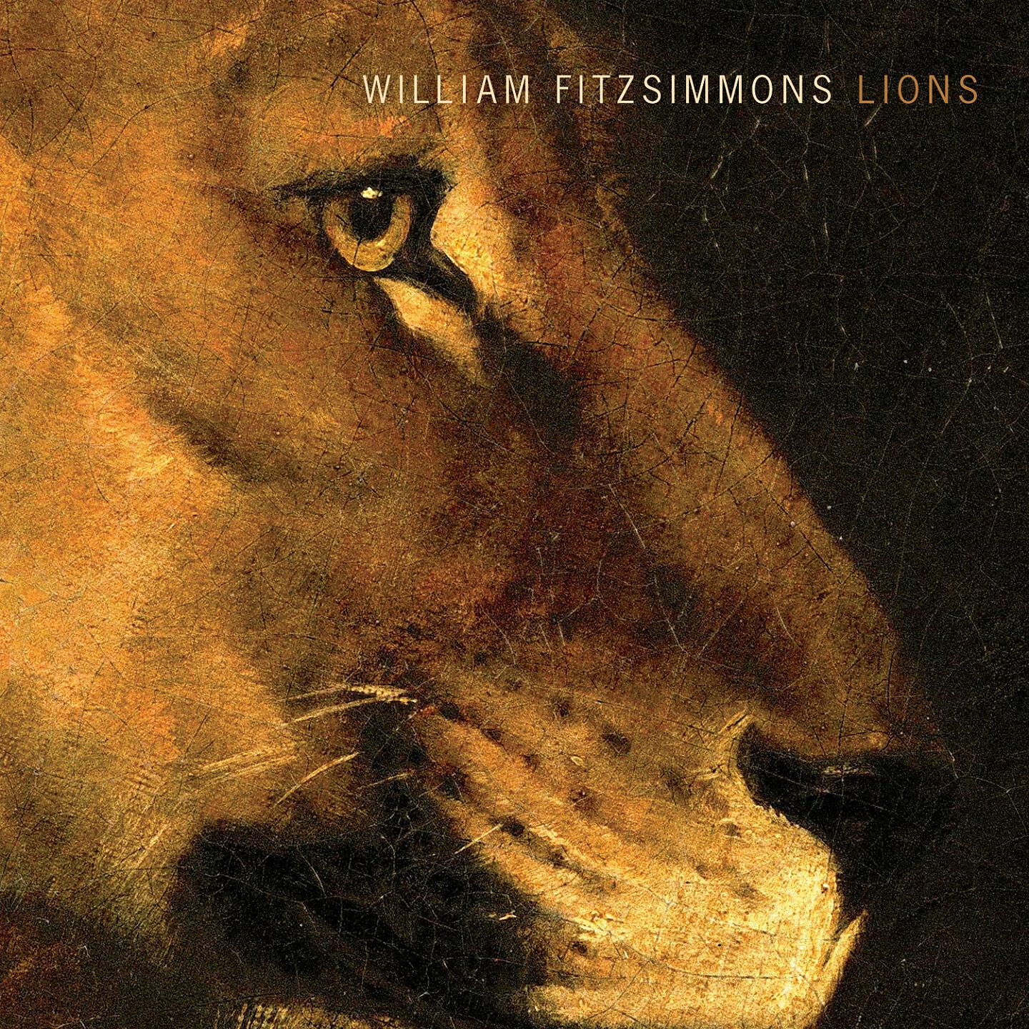 Релиз Lions