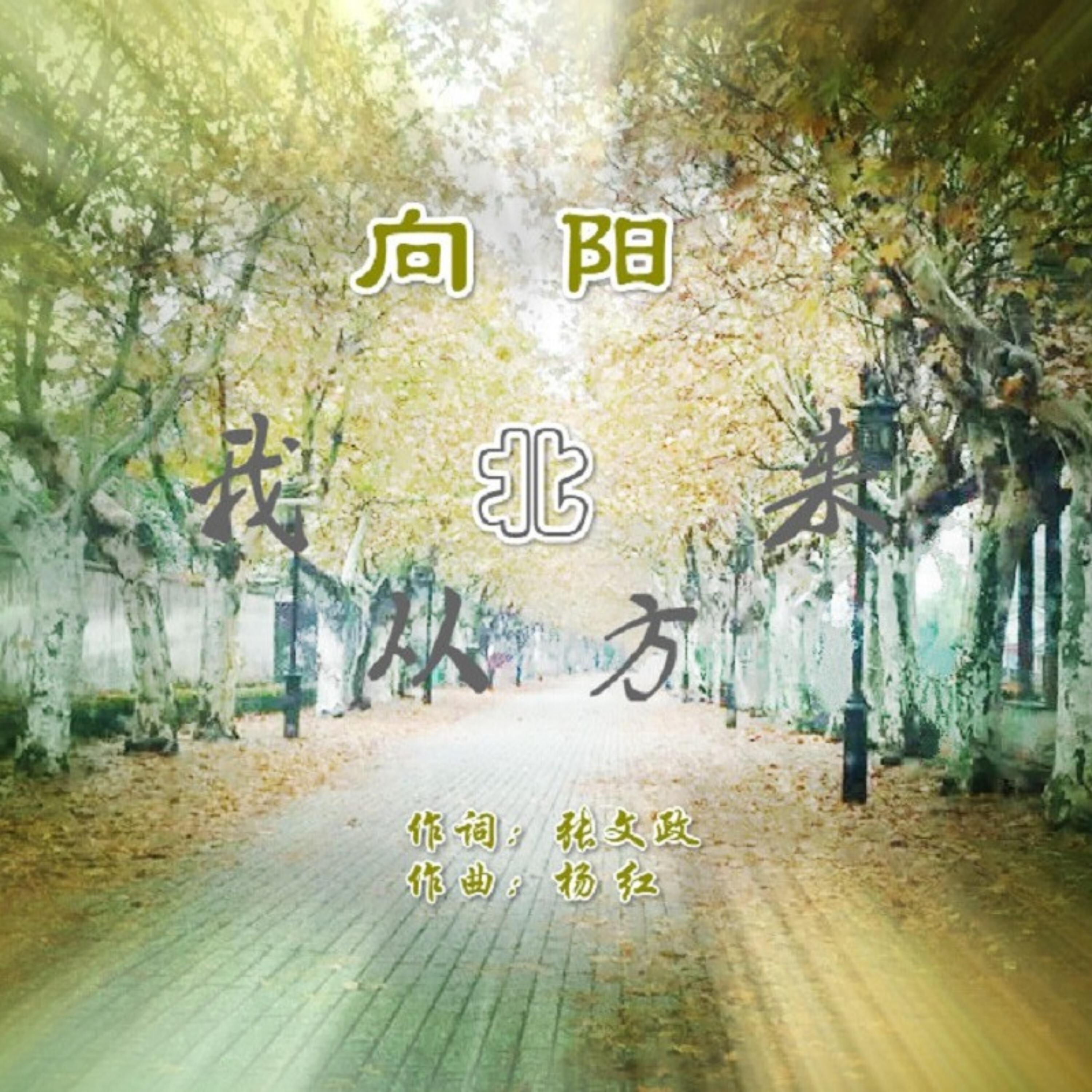 Релиз 我从北方来