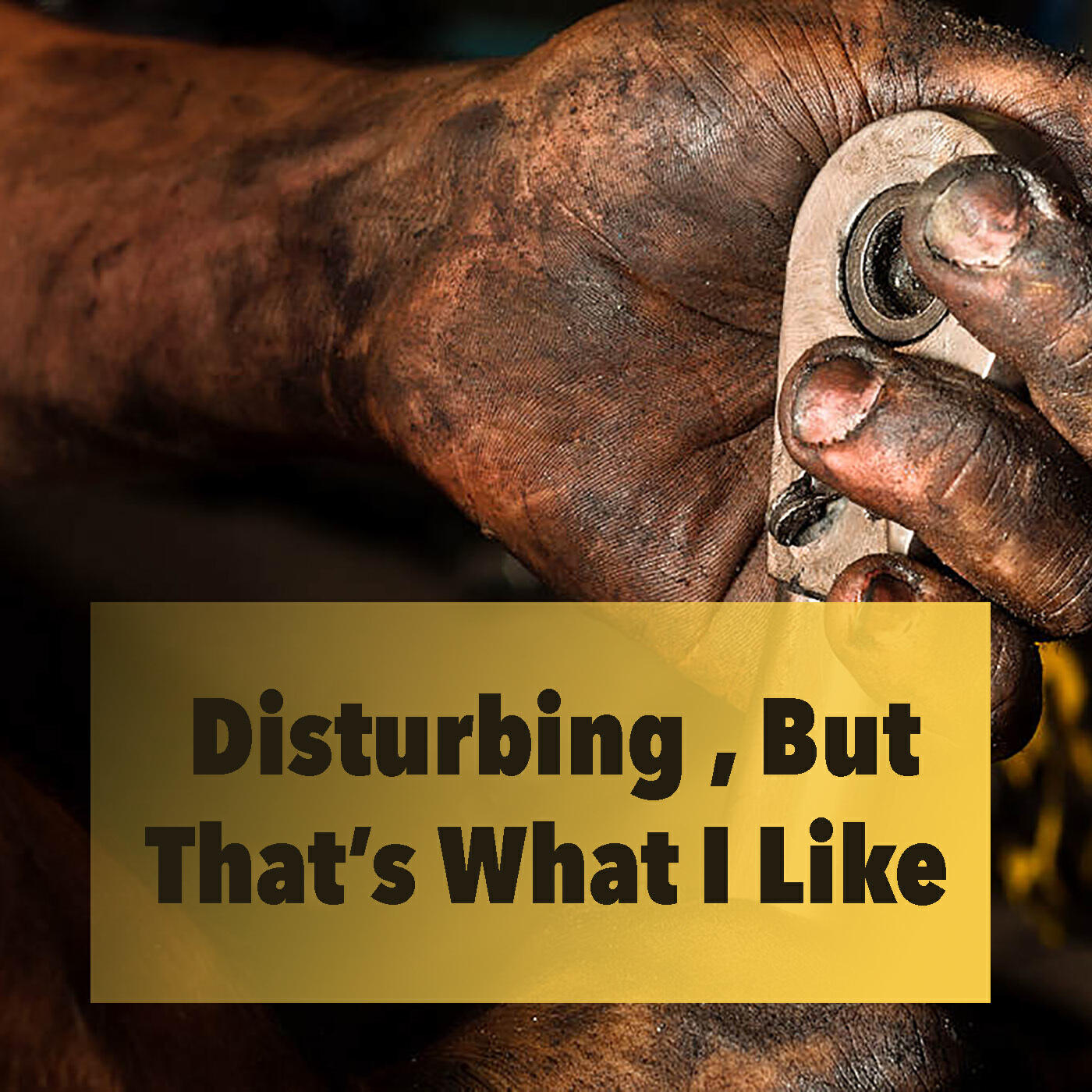 Релиз Disturbing But That's What I Like