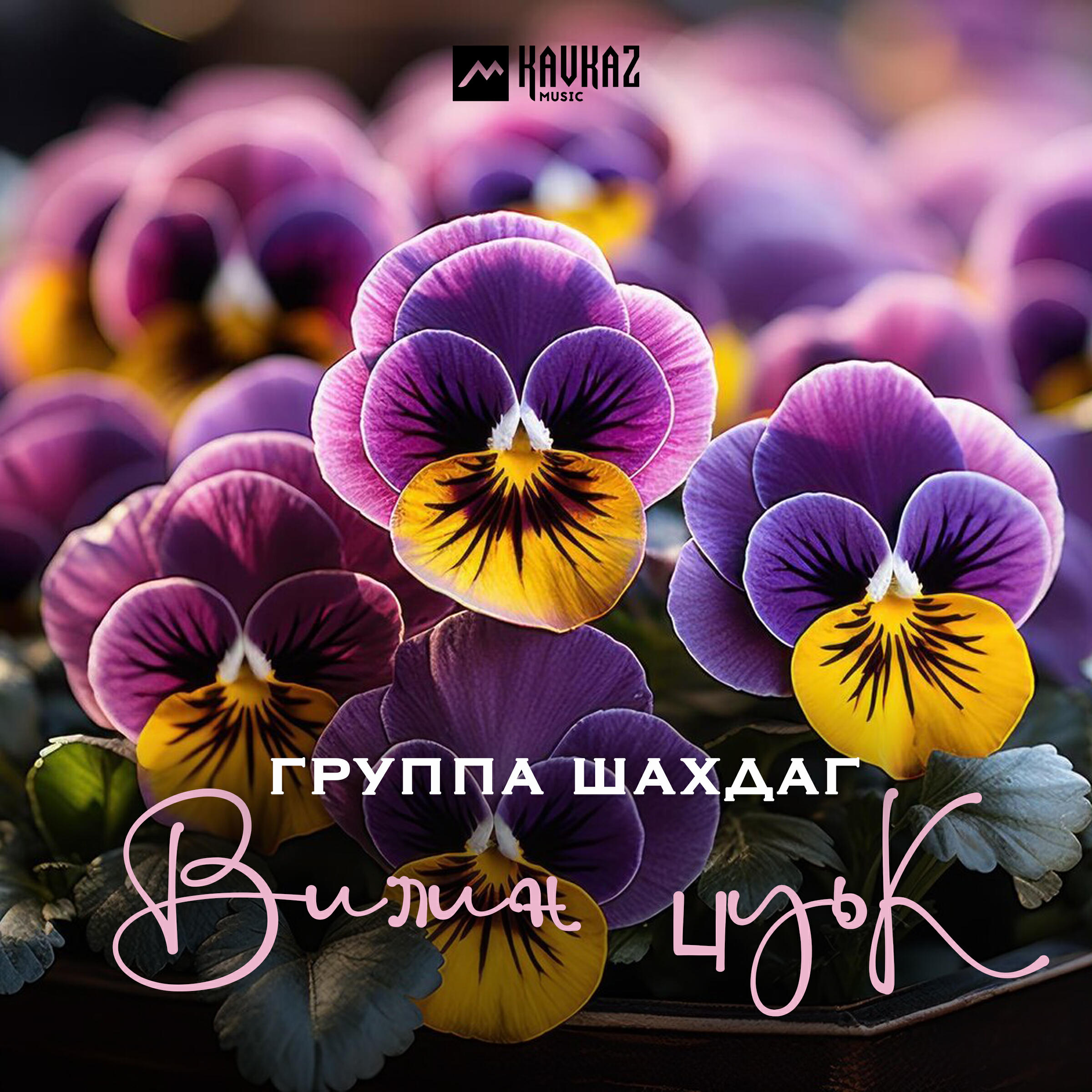 Релиз Вилин цуьк