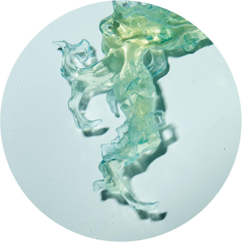 Релиз Invincible Nature EP