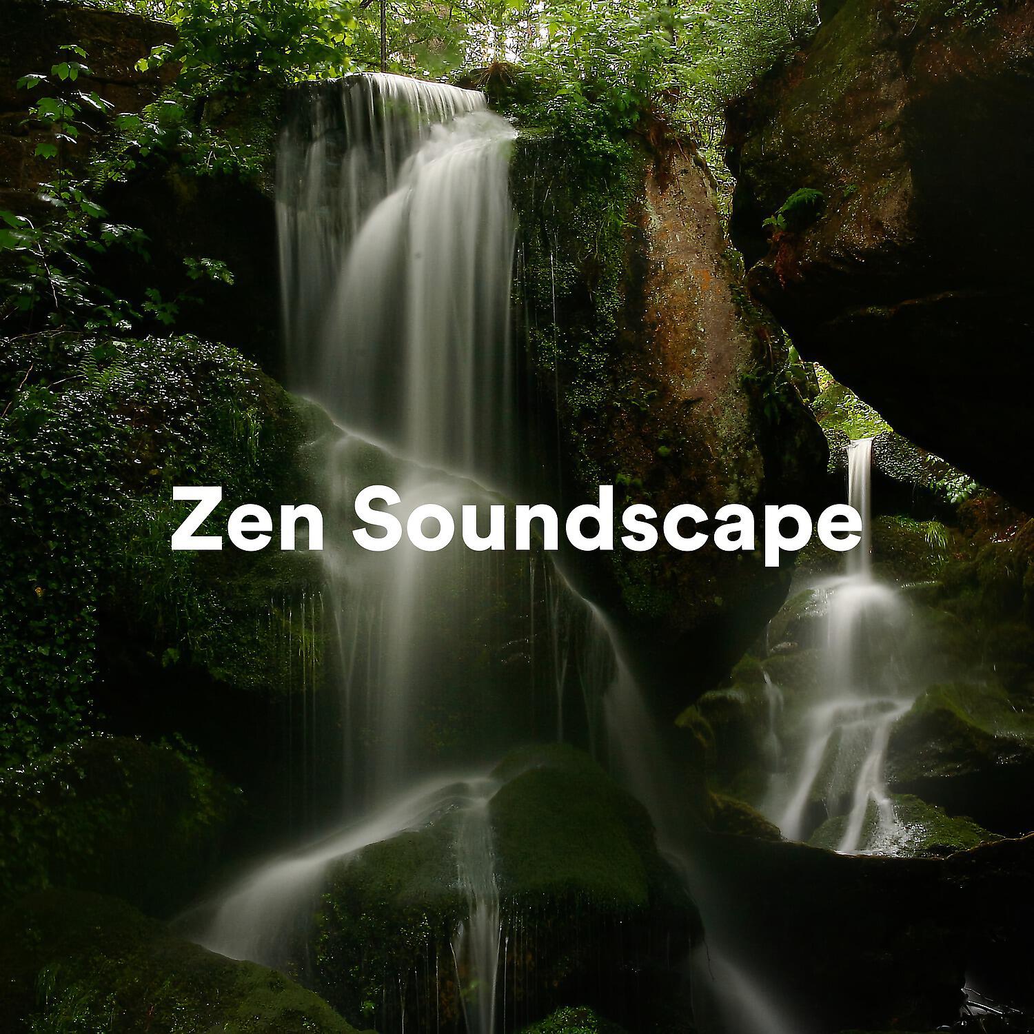 Релиз Zen Soundscape