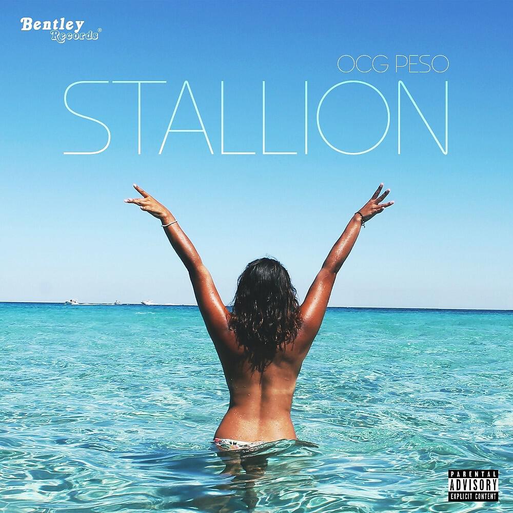 Релиз Stallion