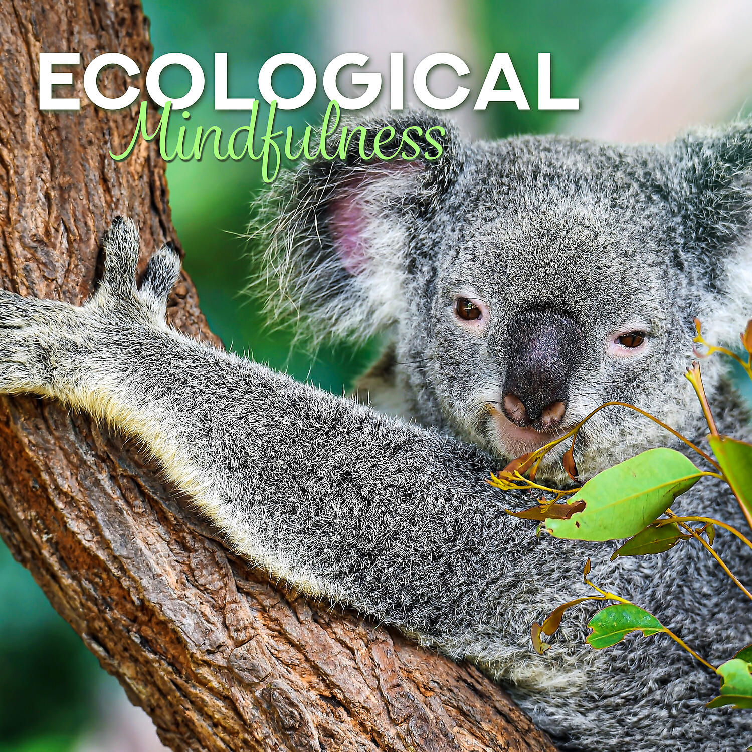 Релиз Ecological Mindfulness: Deep Meditation Gratefully for Mother Nature