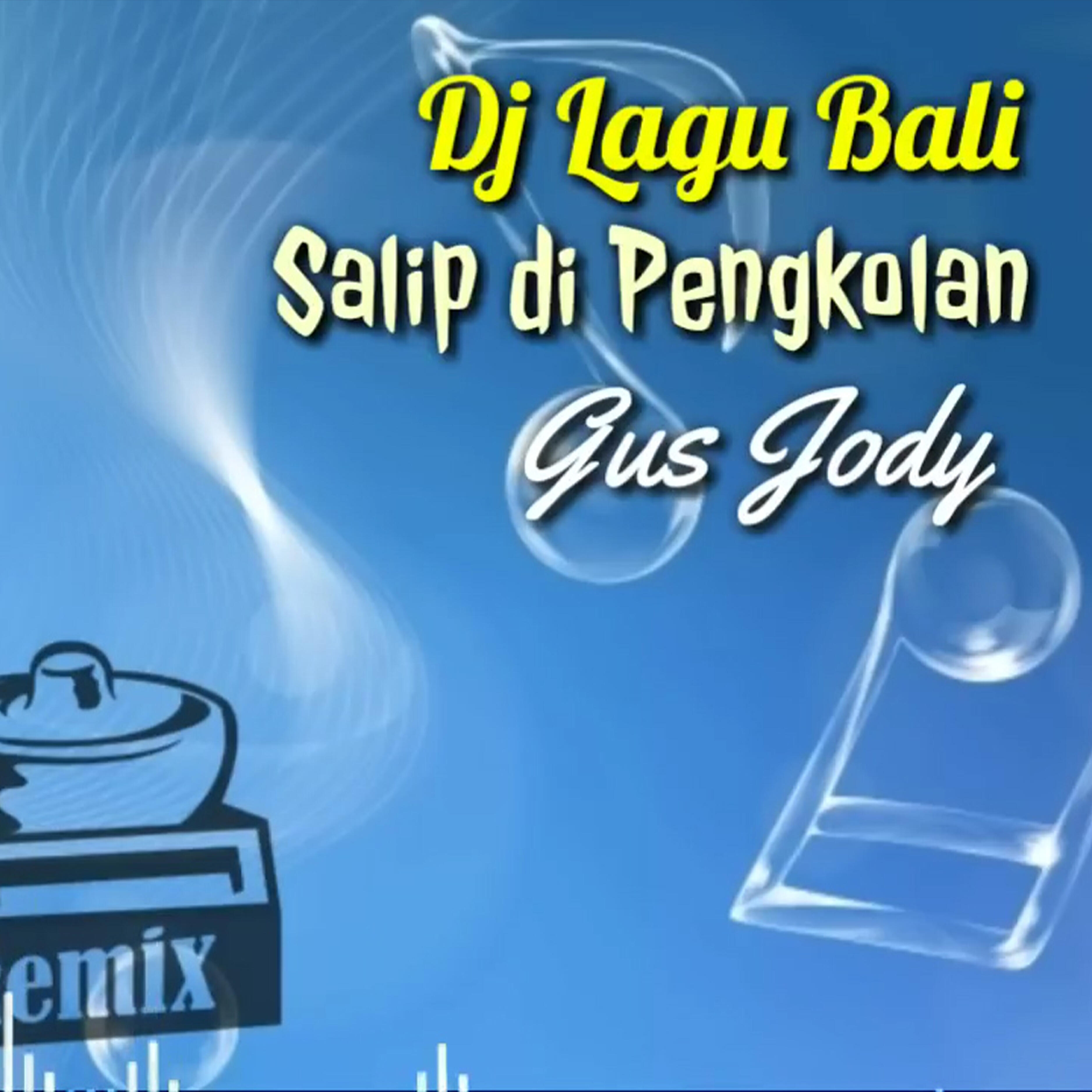 Релиз Dj Salip Dipengkolan