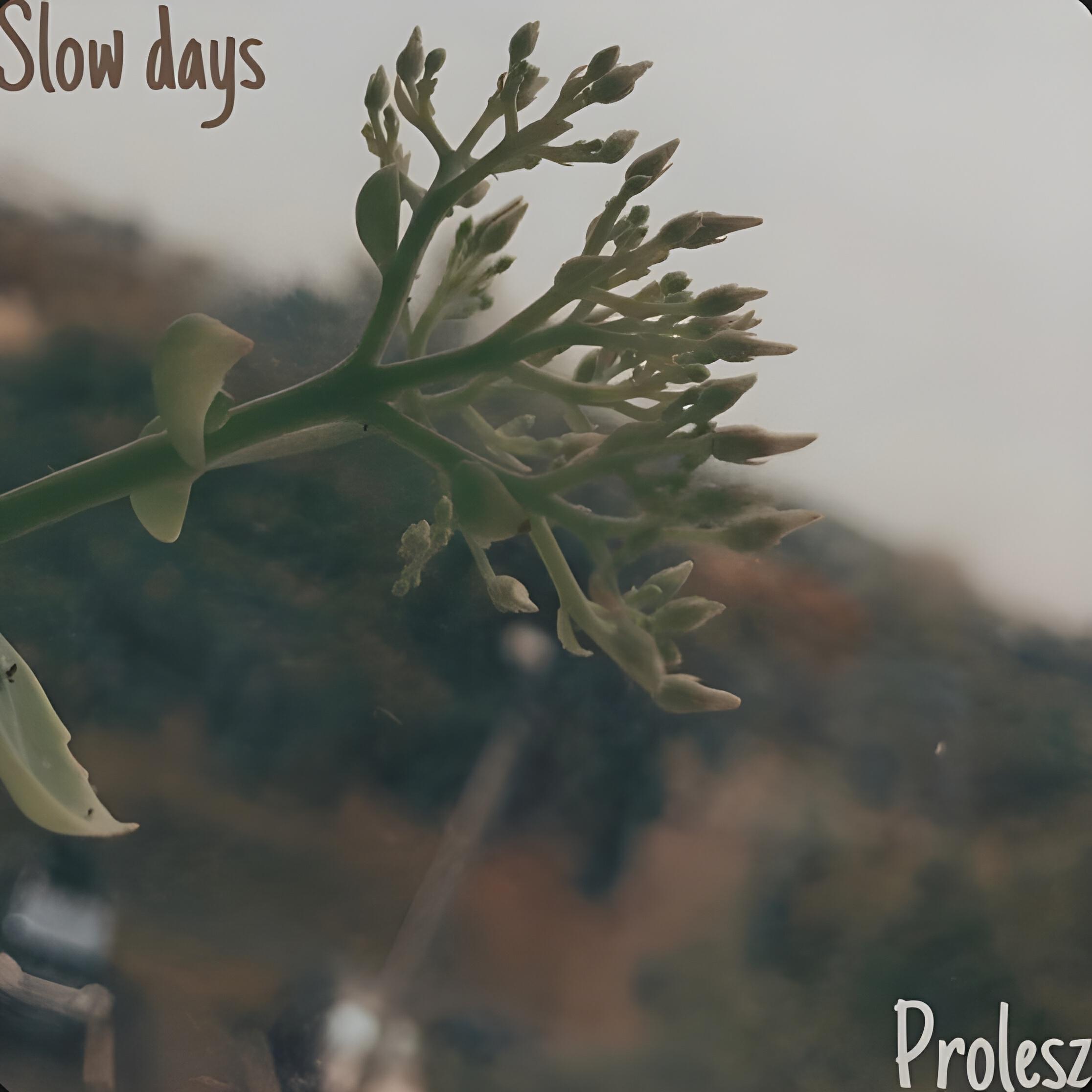 Релиз Slow days