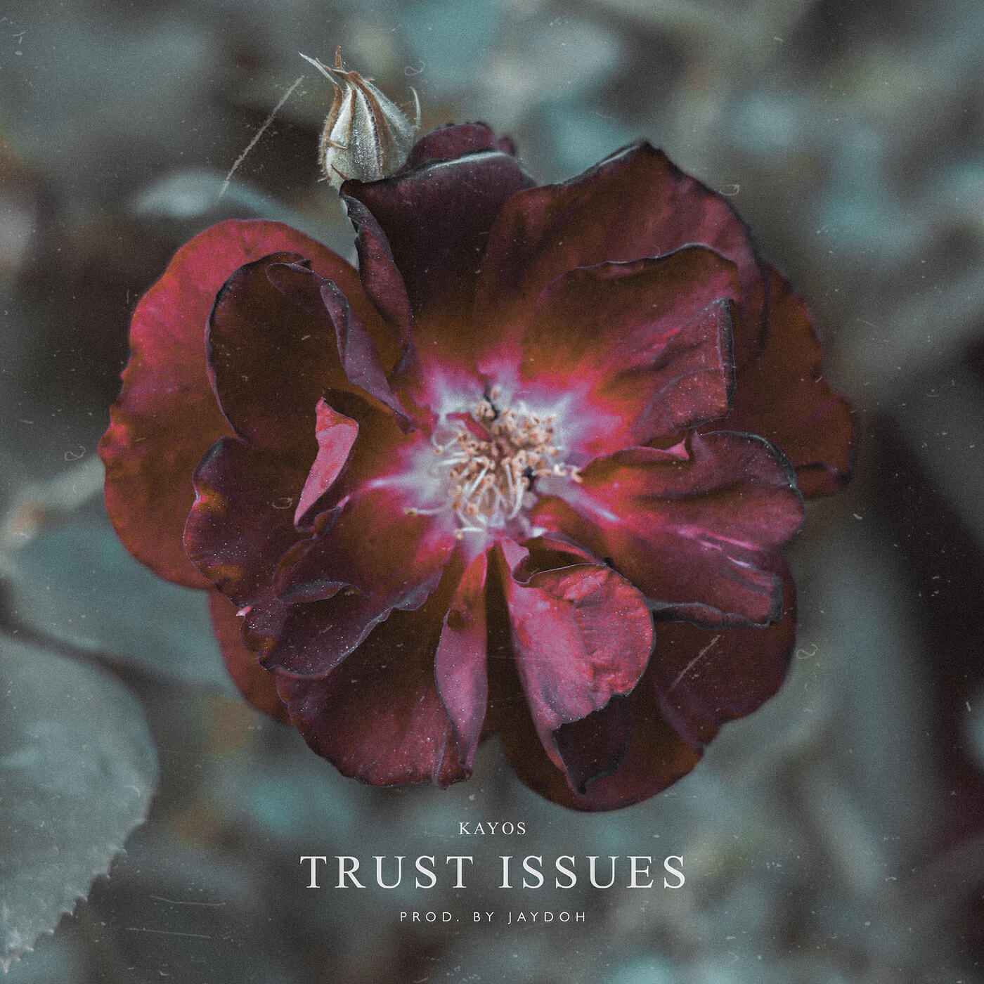 Релиз Trust Issues